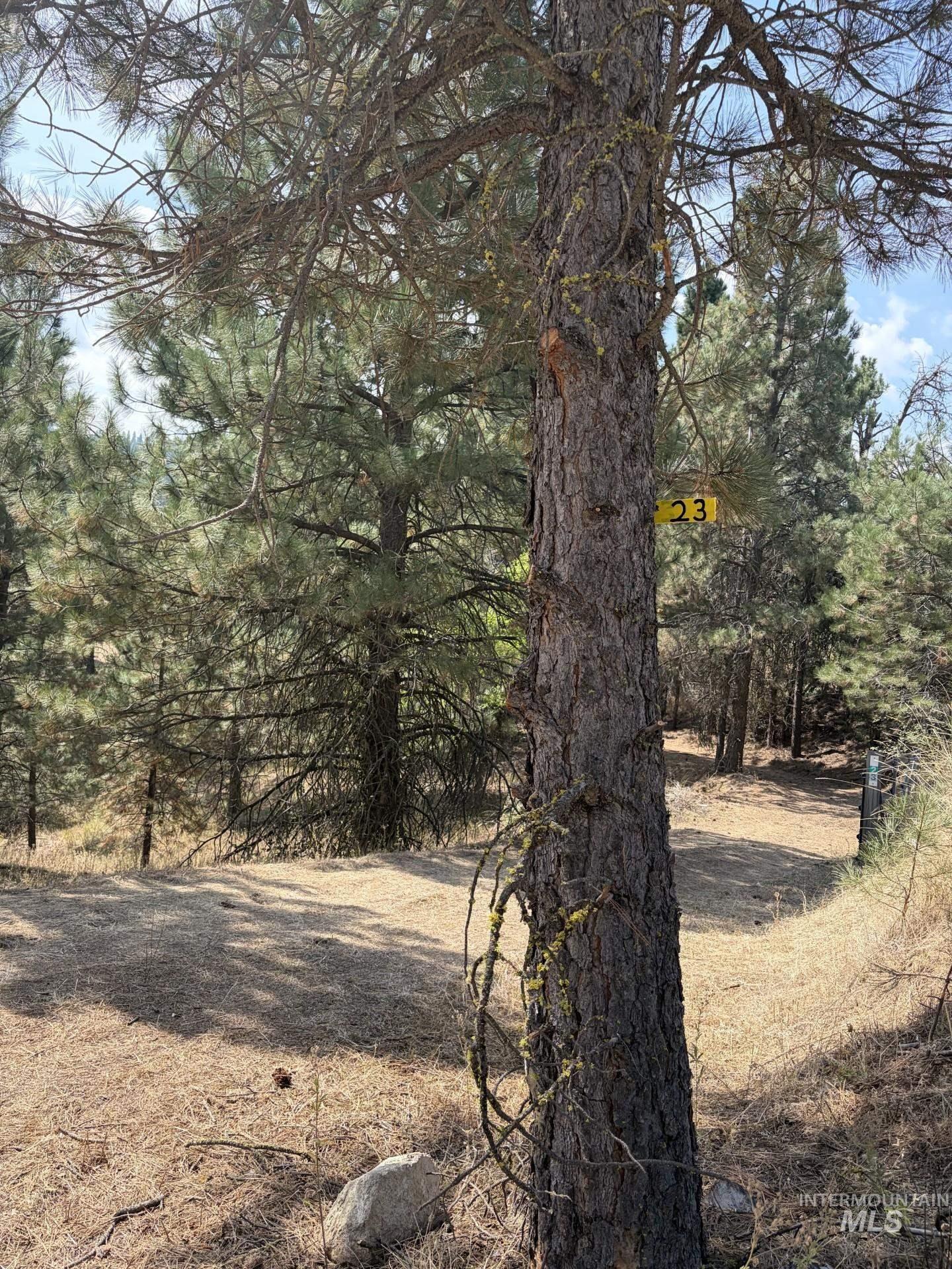 23 Rampage Rd, Boise, Idaho 83716, Land For Sale, Price $95,000,MLS 98998881