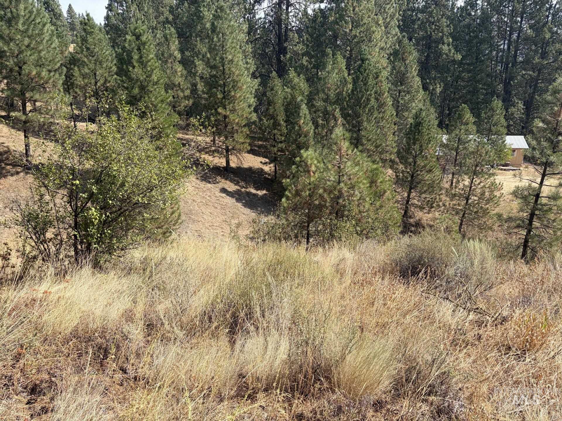 23 Rampage Rd, Boise, Idaho 83716, Land For Sale, Price $95,000,MLS 98998881