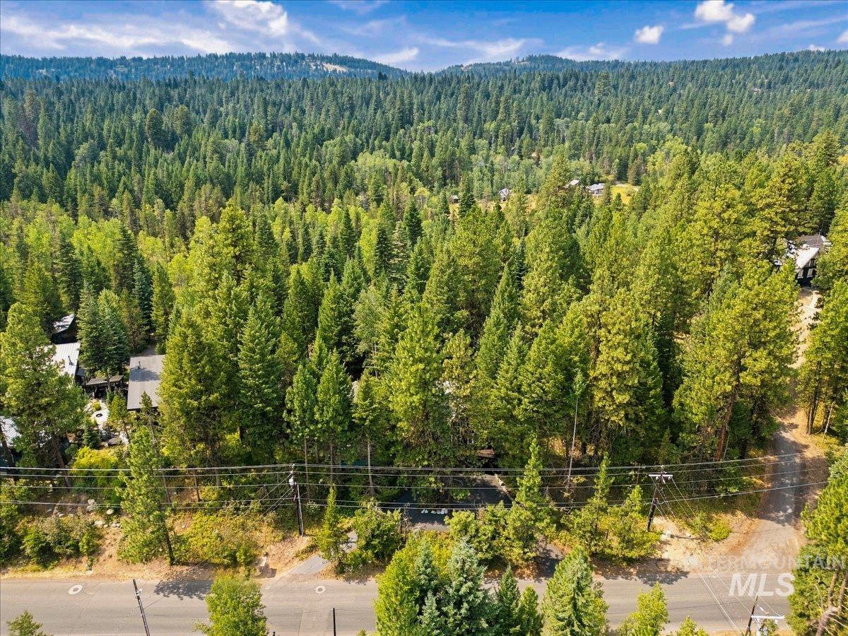 1571 Warren Wagon Road, McCall, Idaho 83638, 3 Bedrooms, 2 Bathrooms, Residential For Sale, Price $1,350,000,MLS 98998883