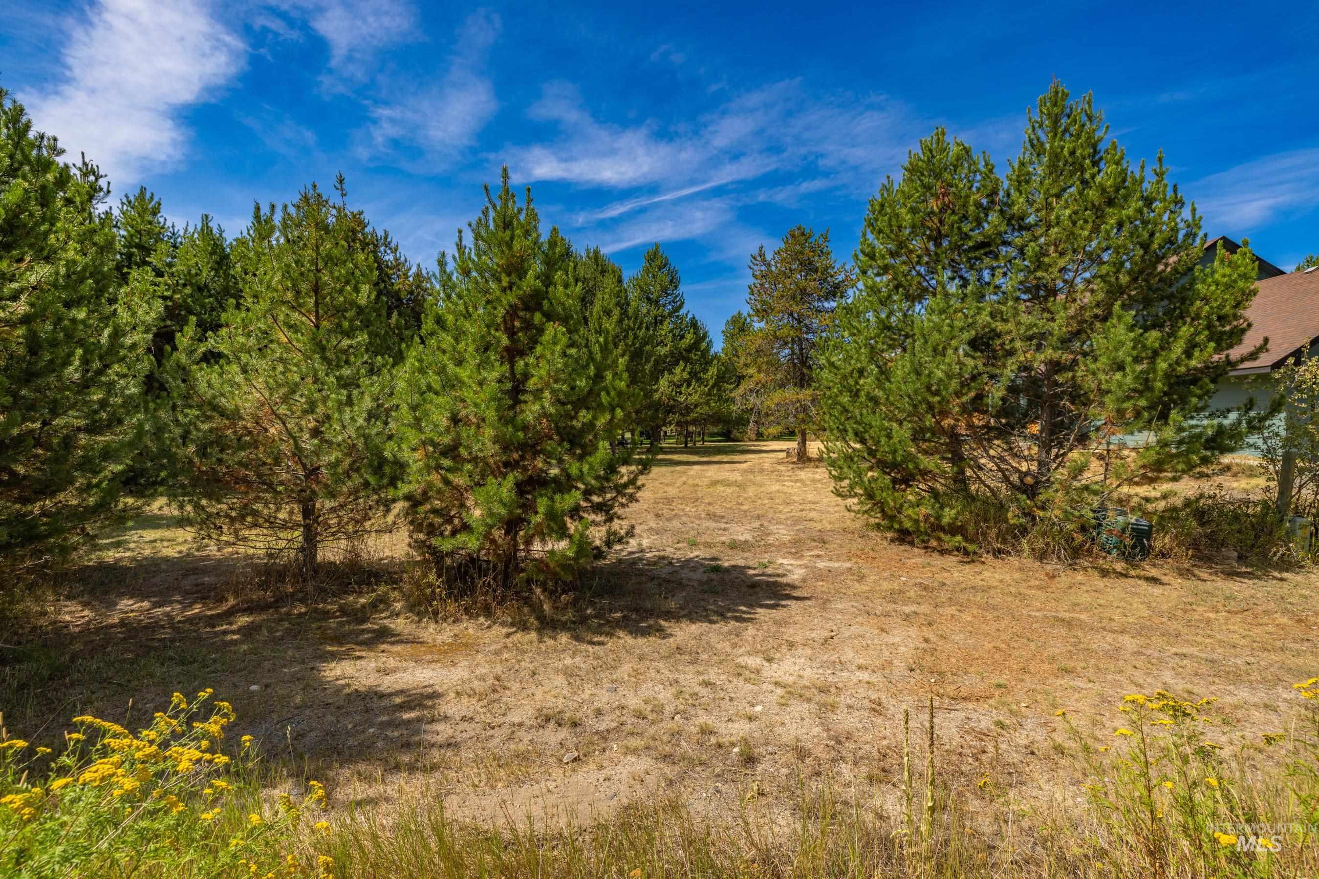 12917 Spring Valley Road, Donnelly, Idaho 83615, Land For Sale, Price $175,000,MLS 98998923