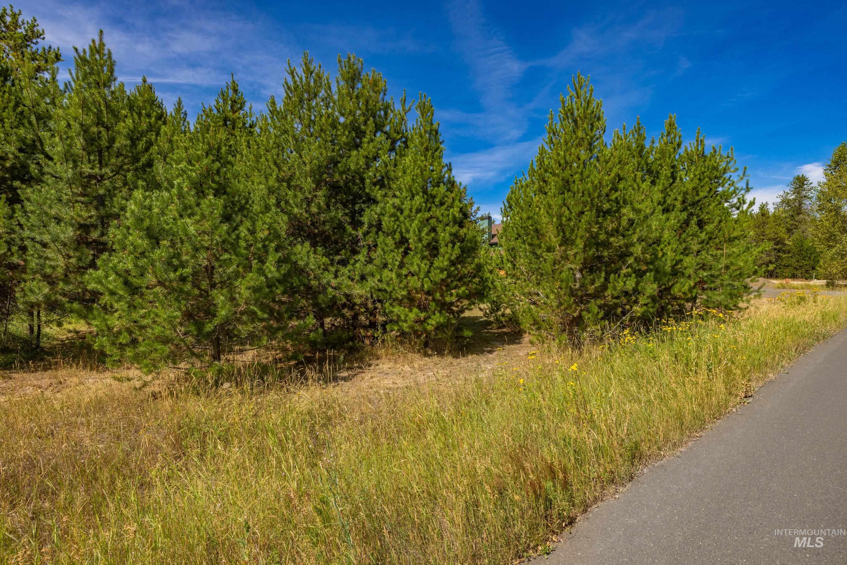 12917 Spring Valley Road, Donnelly, Idaho 83615, Land For Sale, Price $175,000,MLS 98998923