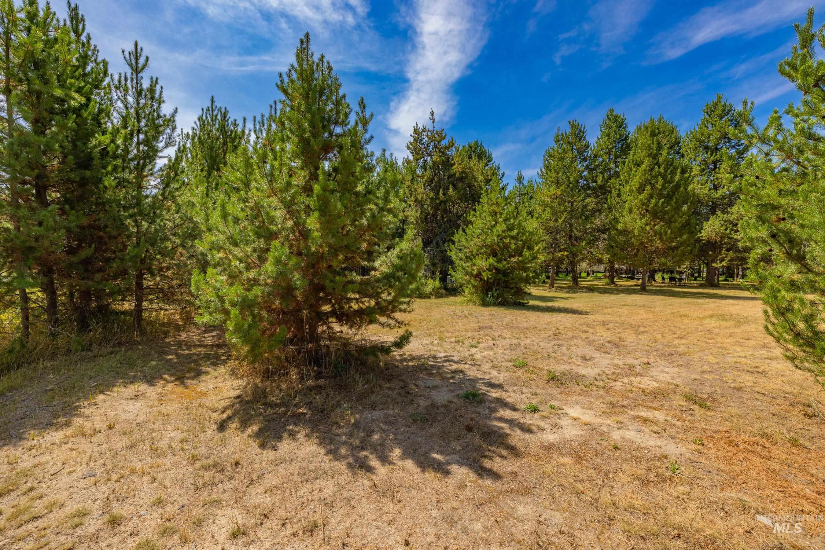 12917 Spring Valley Road, Donnelly, Idaho 83615, Land For Sale, Price $175,000,MLS 98998923