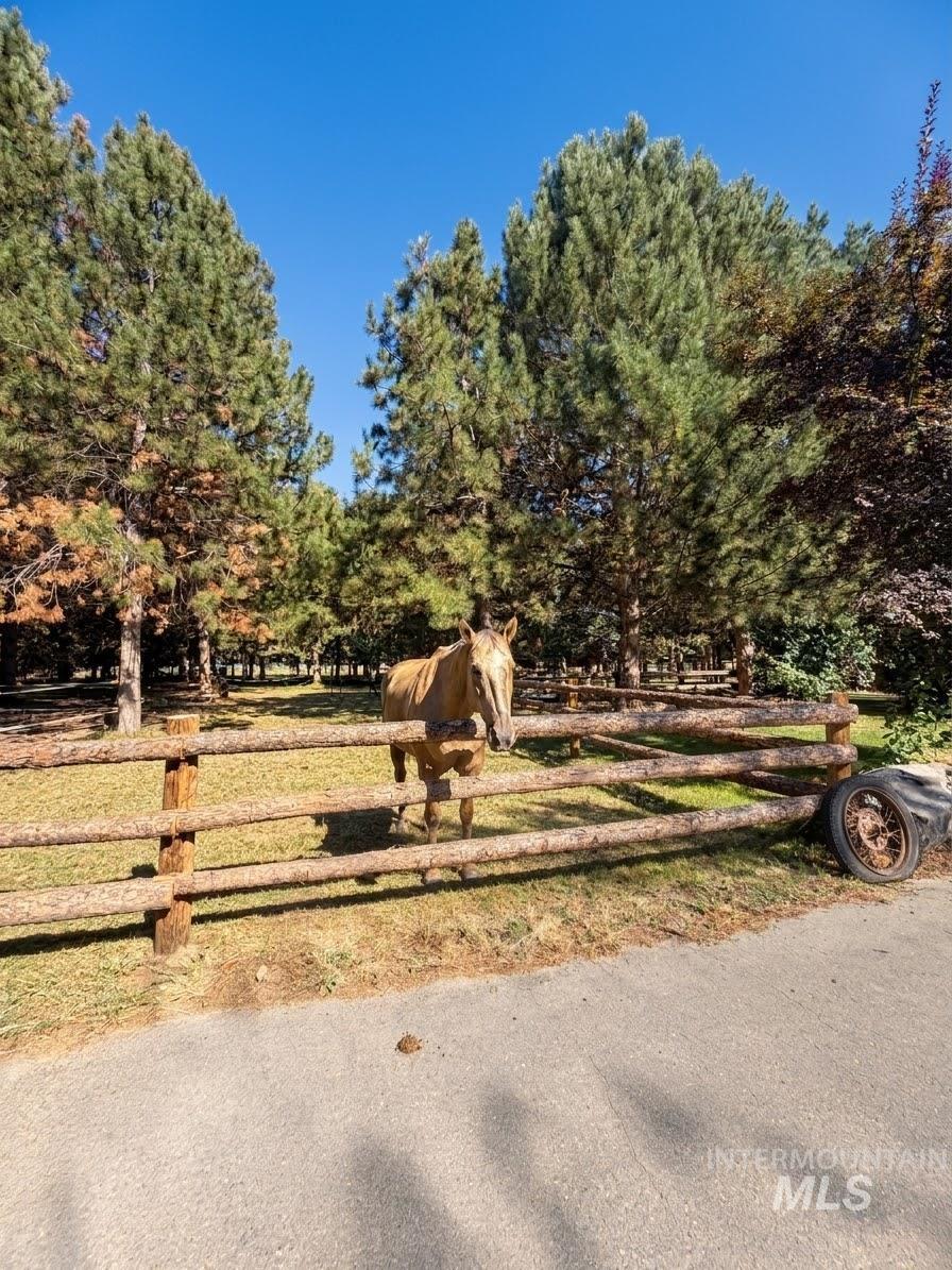 1445 Heartland Lane, Emmett, Idaho 83617, 3 Bedrooms, 1 Bathroom, Residential For Sale, Price $650,000,MLS 98998924