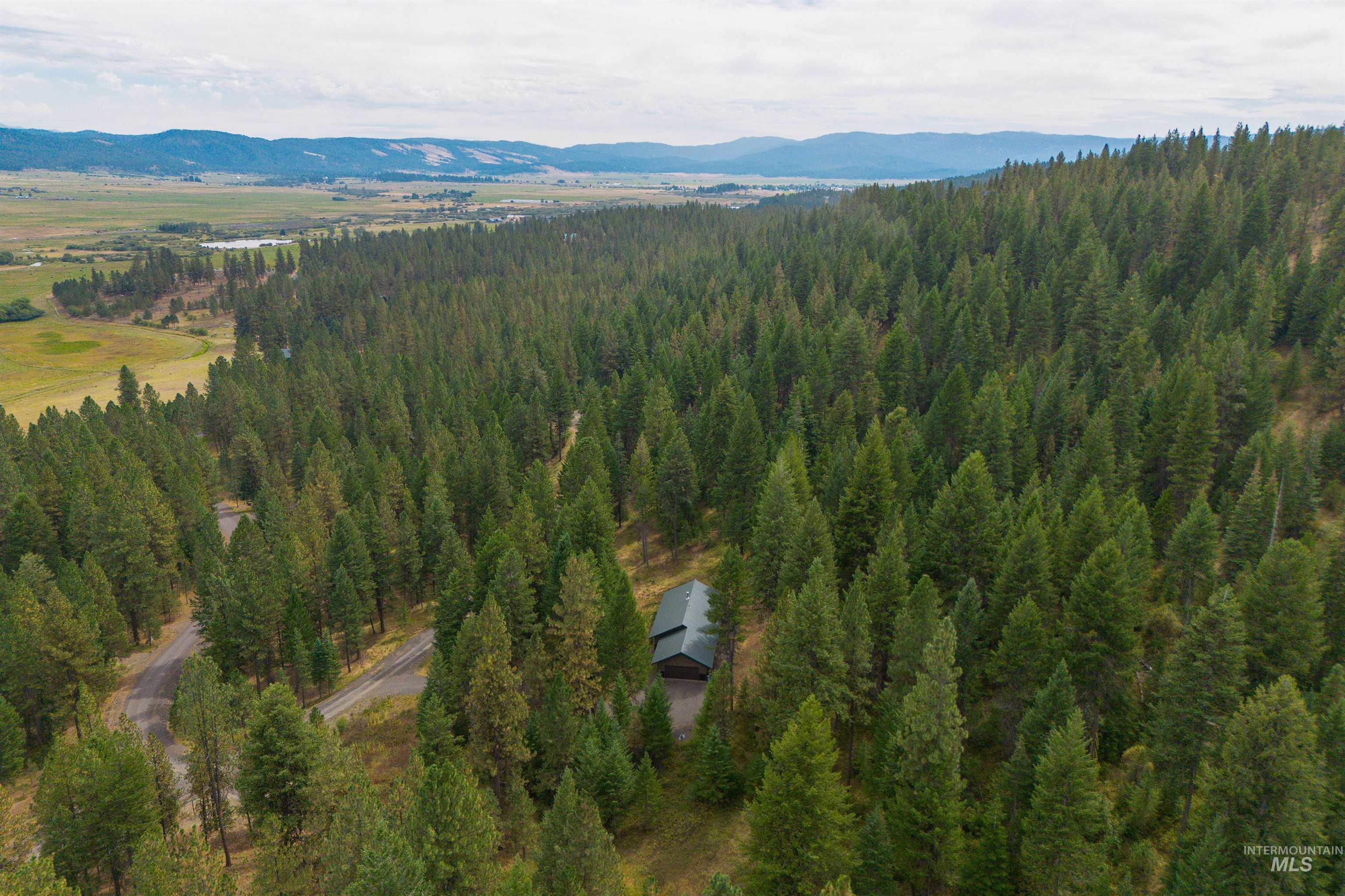4025 Little Salmon Ct, New Meadows, Idaho 83654, 3 Bedrooms, 2 Bathrooms, Residential For Sale, Price $775,000,MLS 98998927