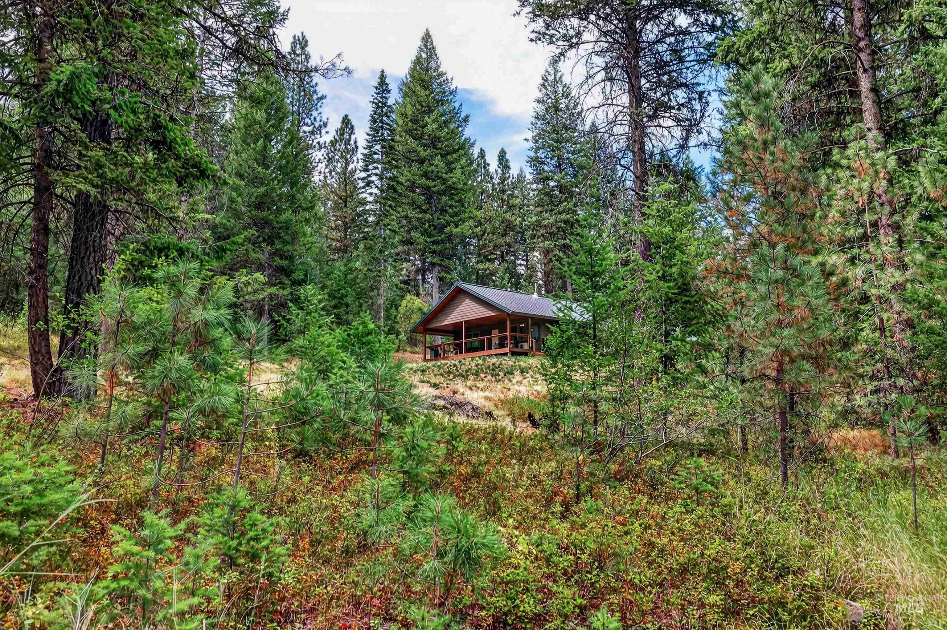 4025 Little Salmon Ct, New Meadows, Idaho 83654, 3 Bedrooms, 2 Bathrooms, Residential For Sale, Price $775,000,MLS 98998927