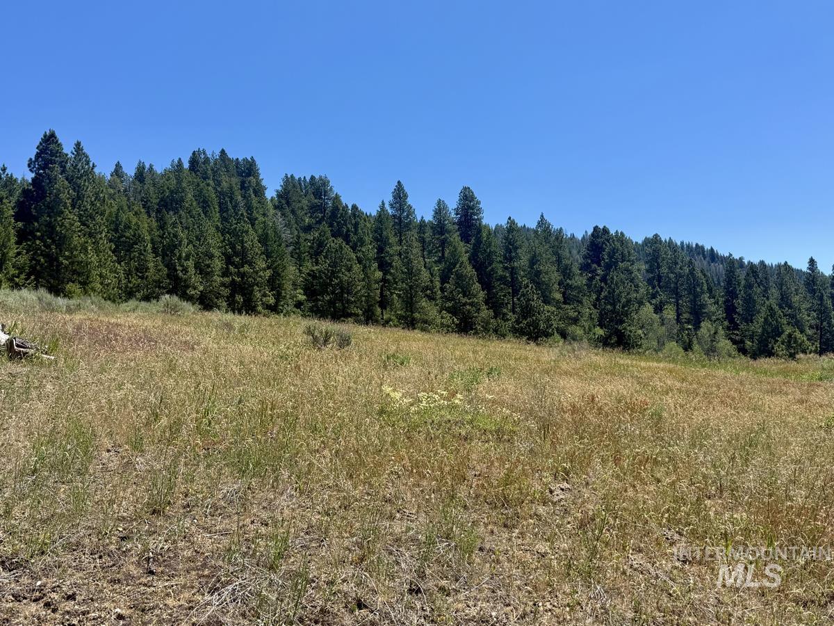 10108 Howling Wolf Court, Cascade, Idaho 83611, Land For Sale, Price $154,000,MLS 98998963