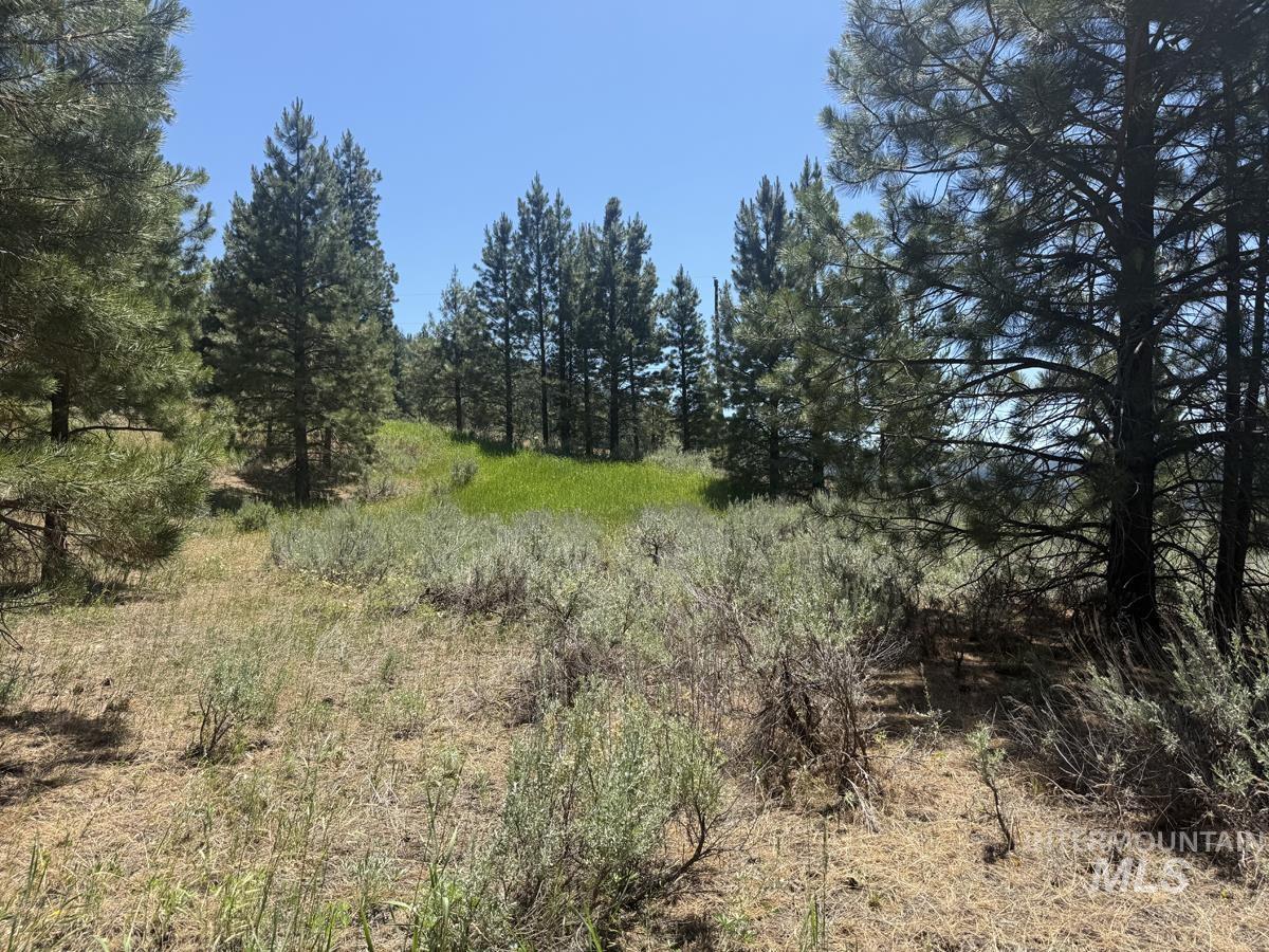 10108 Howling Wolf Court, Cascade, Idaho 83611, Land For Sale, Price $154,000,MLS 98998963