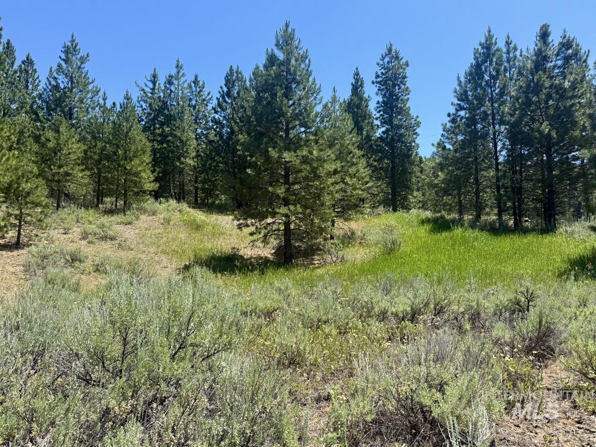 10108 Howling Wolf Court, Cascade, Idaho 83611, Land For Sale, Price $154,000,MLS 98998963