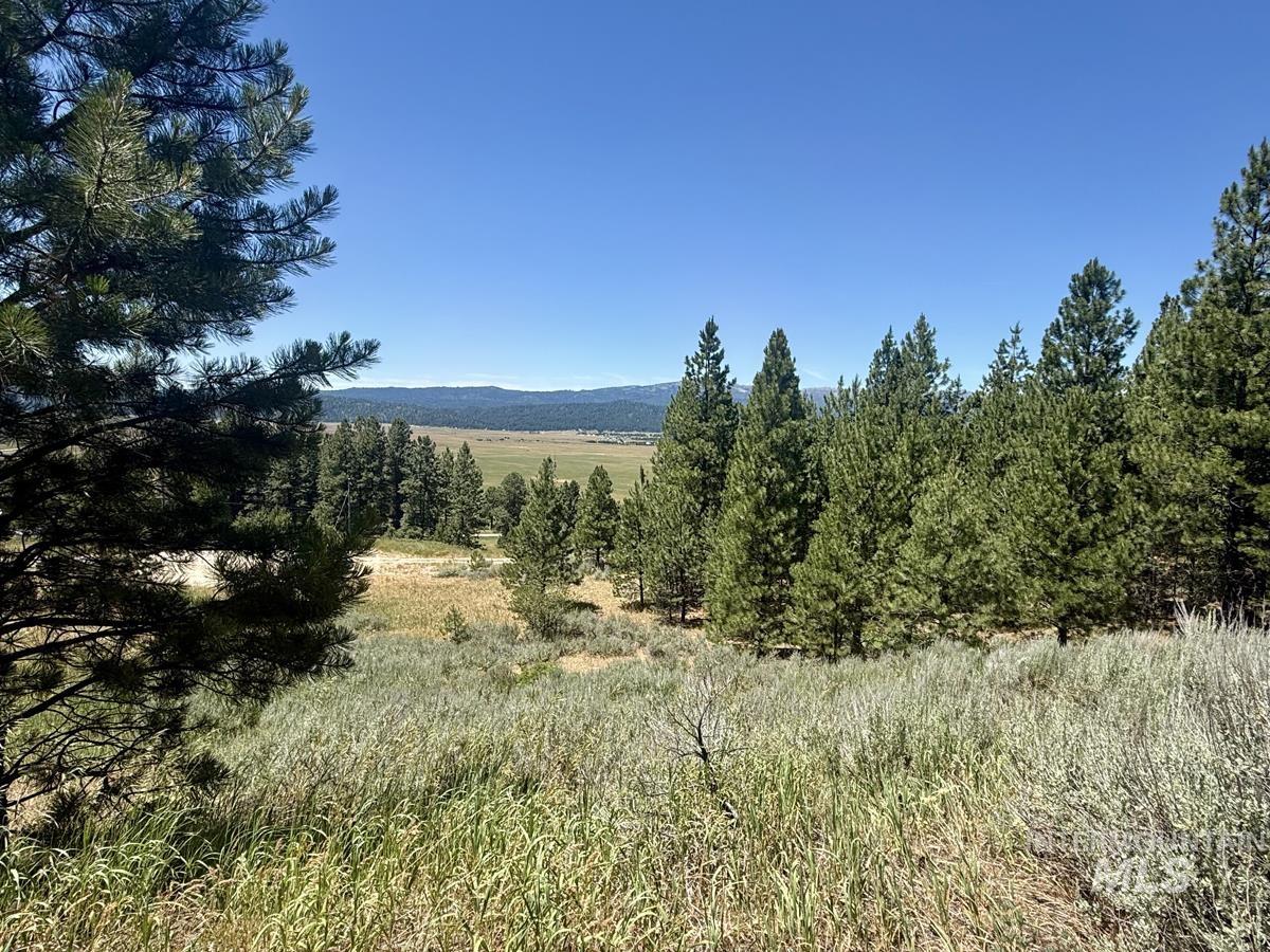 10108 Howling Wolf Court, Cascade, Idaho 83611, Land For Sale, Price $154,000,MLS 98998963