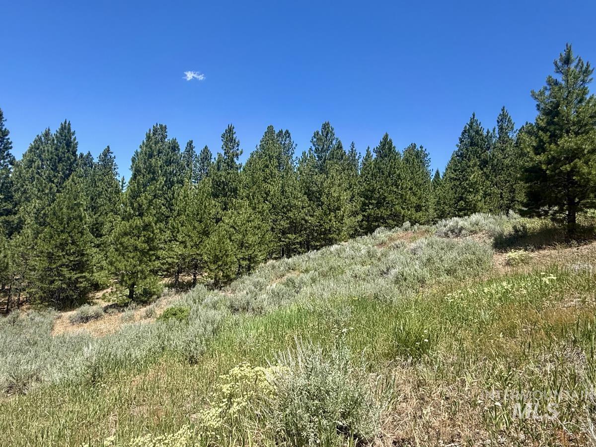 10108 Howling Wolf Court, Cascade, Idaho 83611, Land For Sale, Price $154,000,MLS 98998963