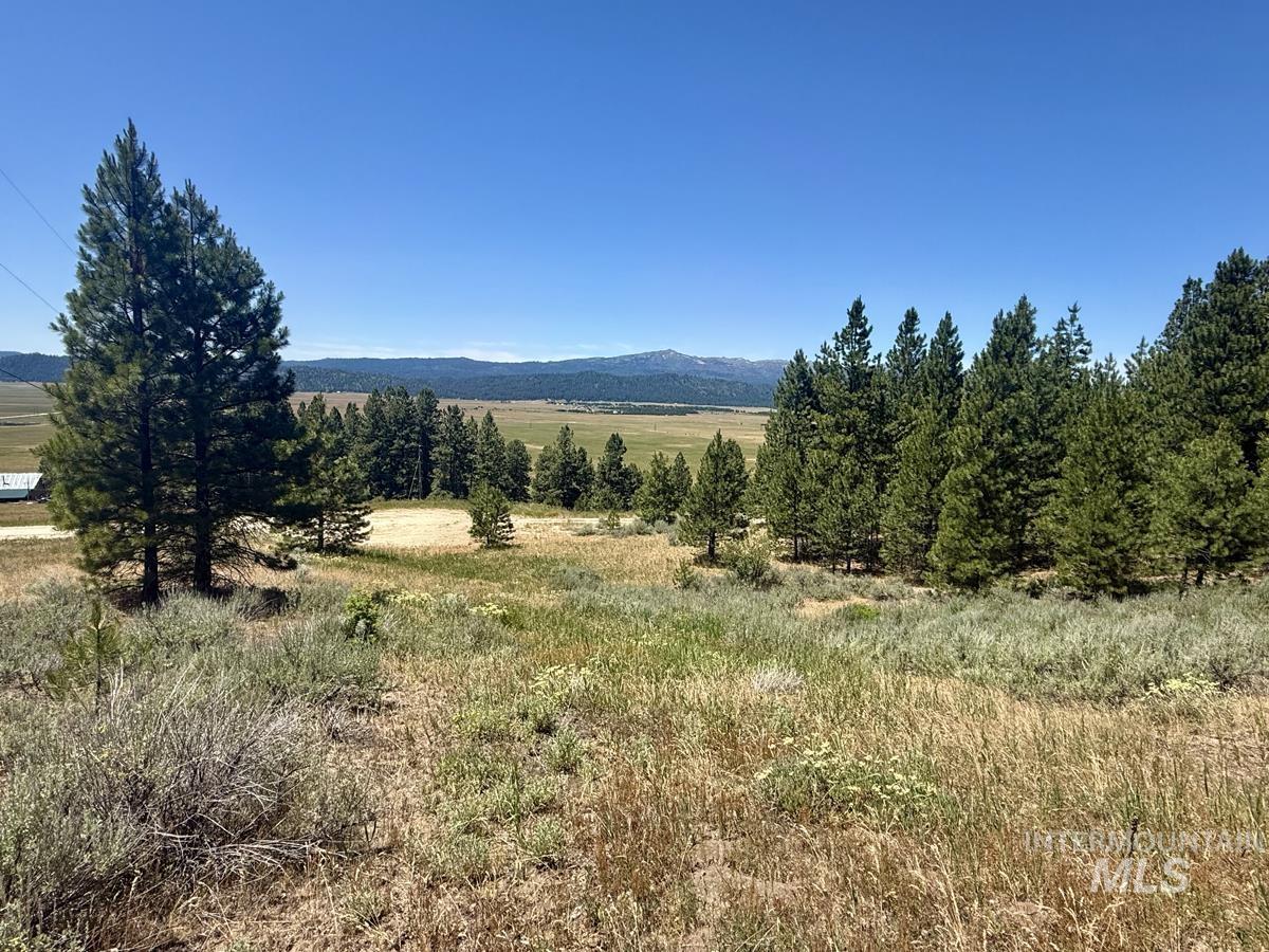 10108 Howling Wolf Court, Cascade, Idaho 83611, Land For Sale, Price $154,000,MLS 98998963