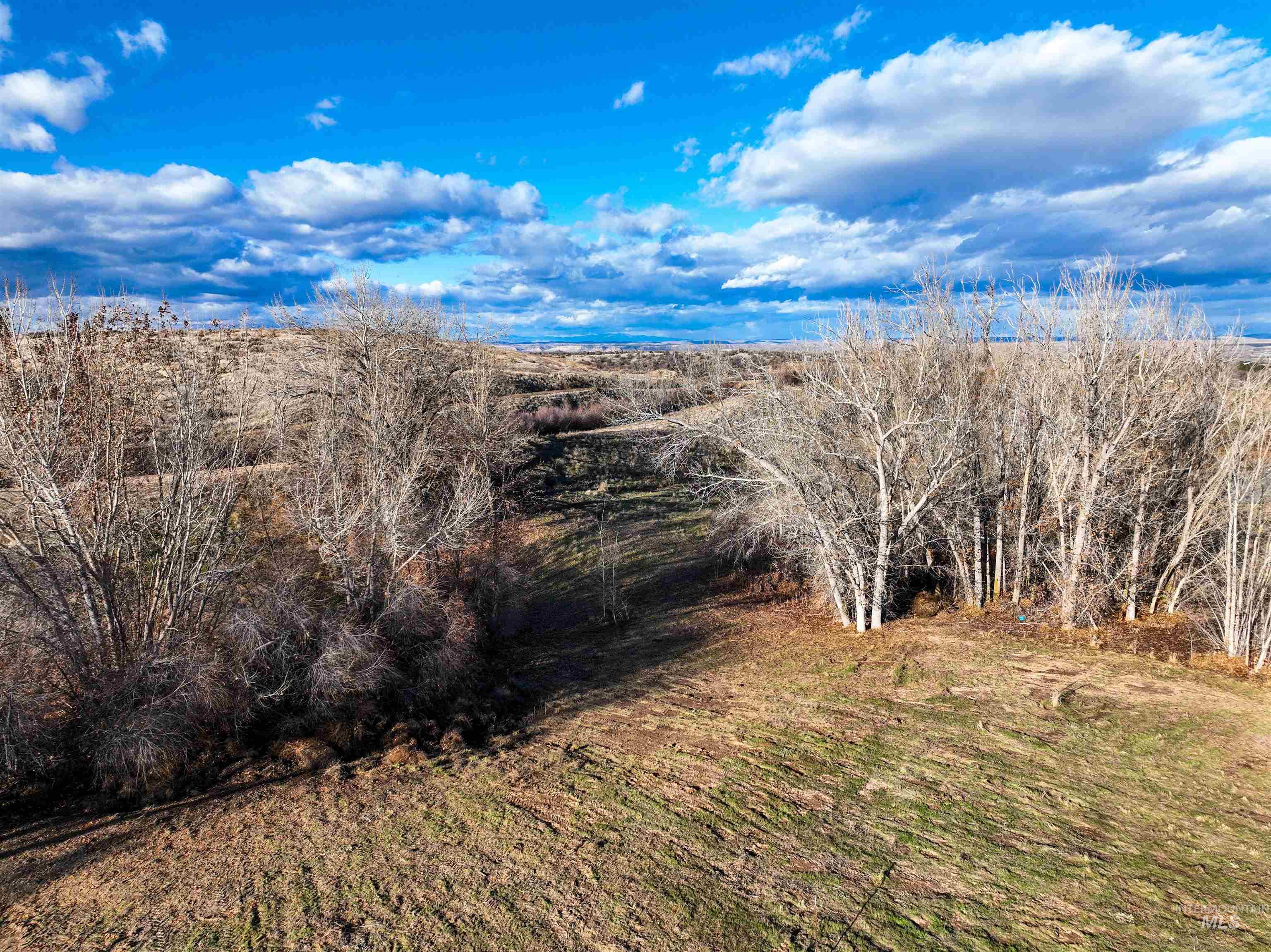 3615 Cassia, New Plymouth, Idaho 83655, 3 Bedrooms, 2 Bathrooms, Farm & Ranch For Sale, Price $2,300,000,MLS 98998983
