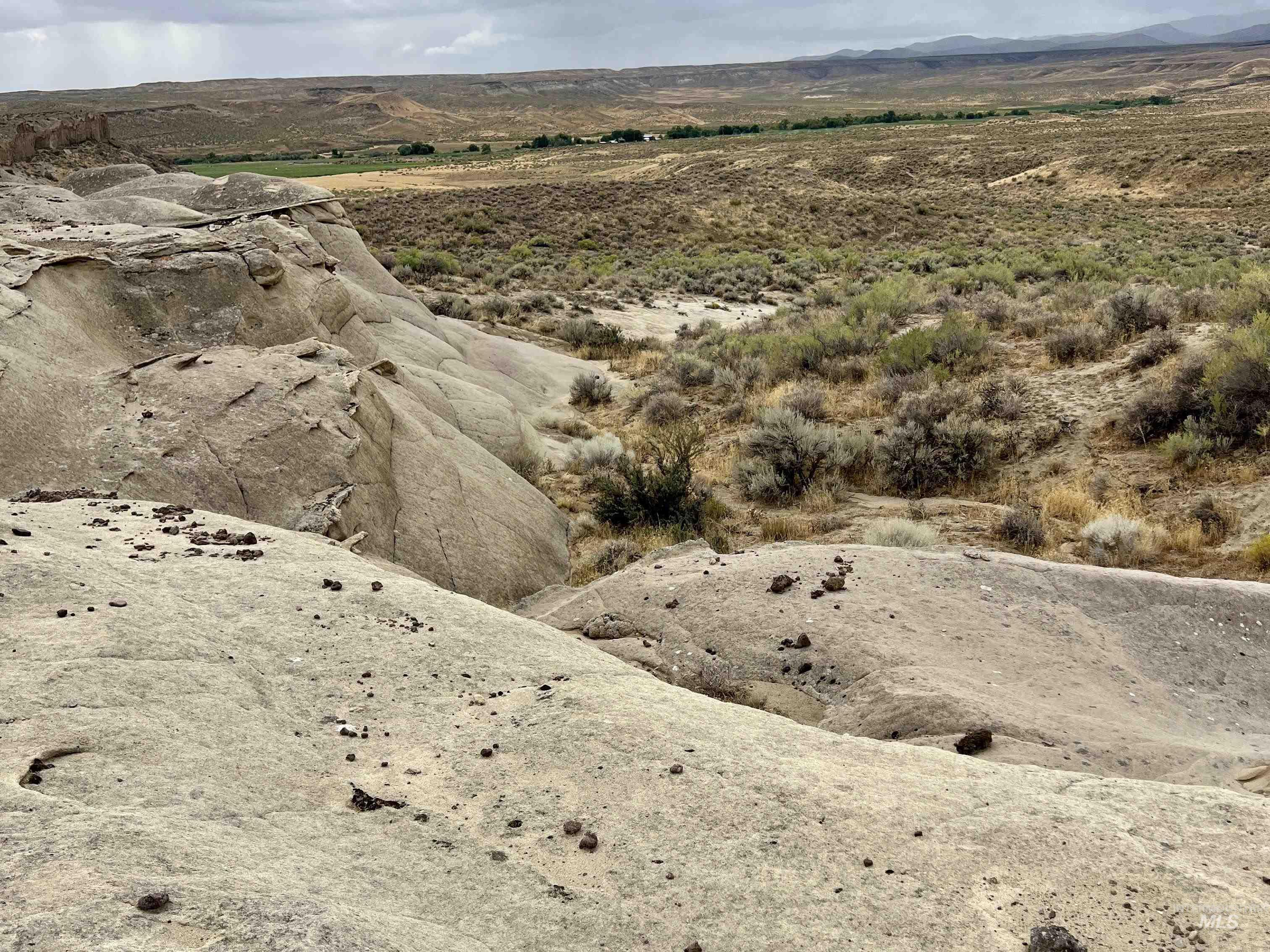 TBD Collett Rd, Oreana, Idaho 83650, Business/Commercial For Sale, Price $400,000,MLS 98999003