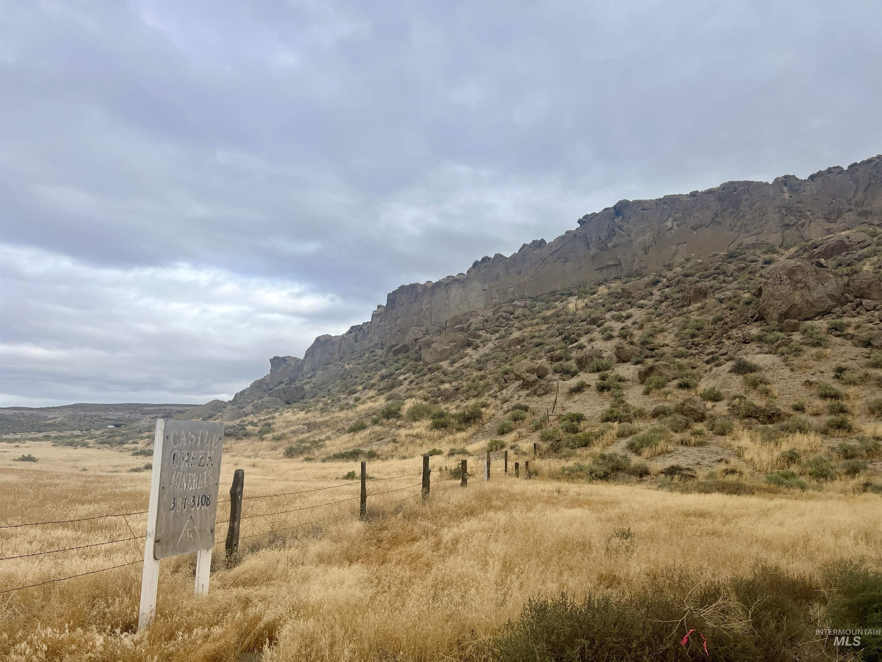 TBD Collett Rd, Oreana, Idaho 83650, Business/Commercial For Sale, Price $400,000,MLS 98999003