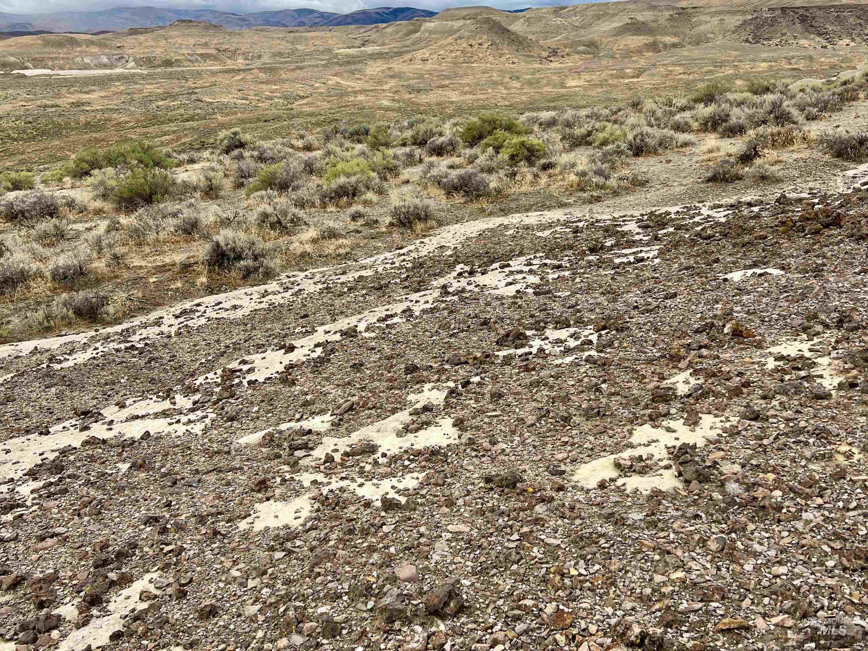 TBD Collett Rd, Oreana, Idaho 83650, Business/Commercial For Sale, Price $400,000,MLS 98999003