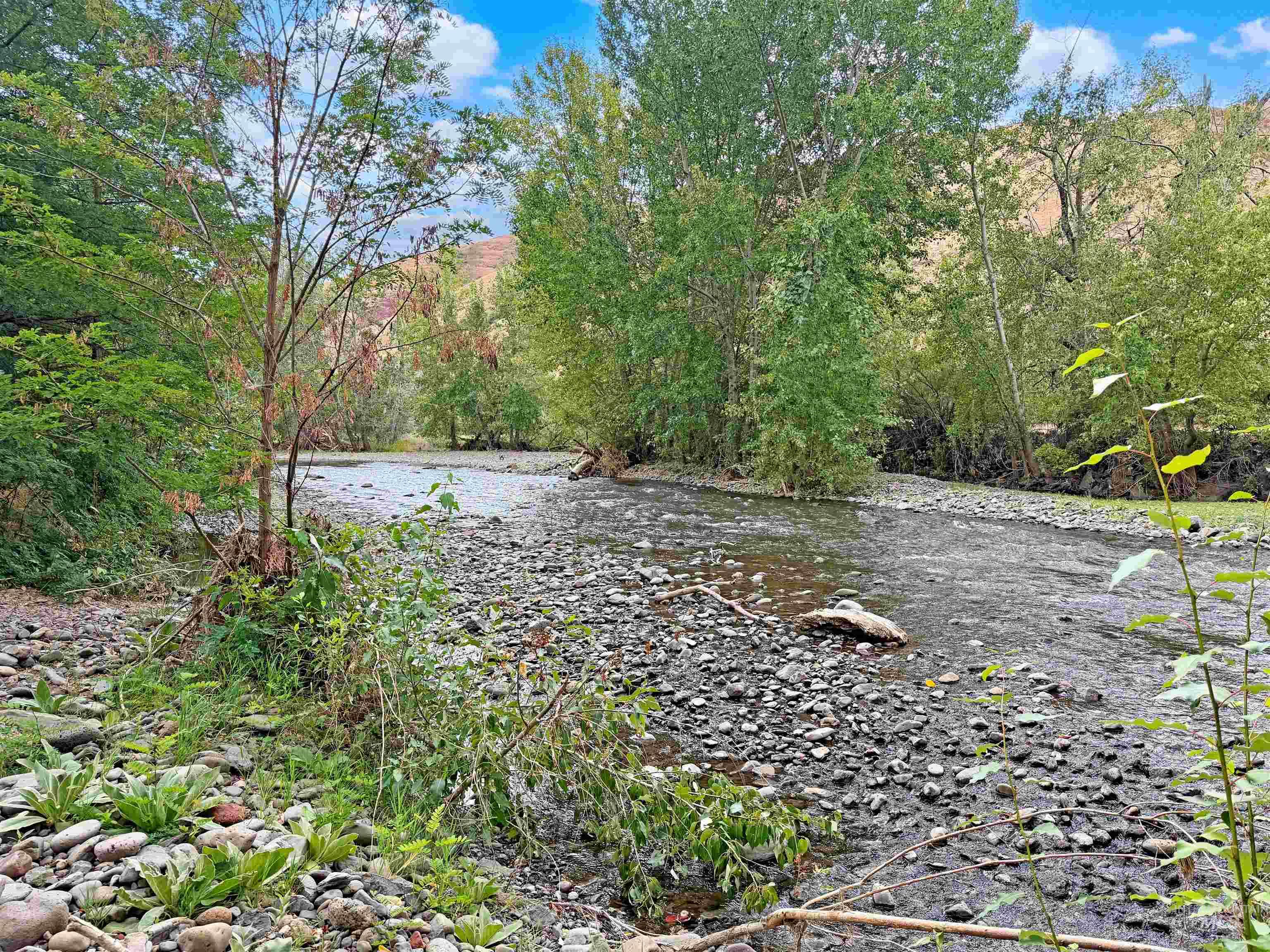 1920 Tucannon Road, Pomeroy, Washington 99347, 3 Bedrooms, 1.5 Bathrooms, Residential For Sale, Price $275,000,MLS 98999053