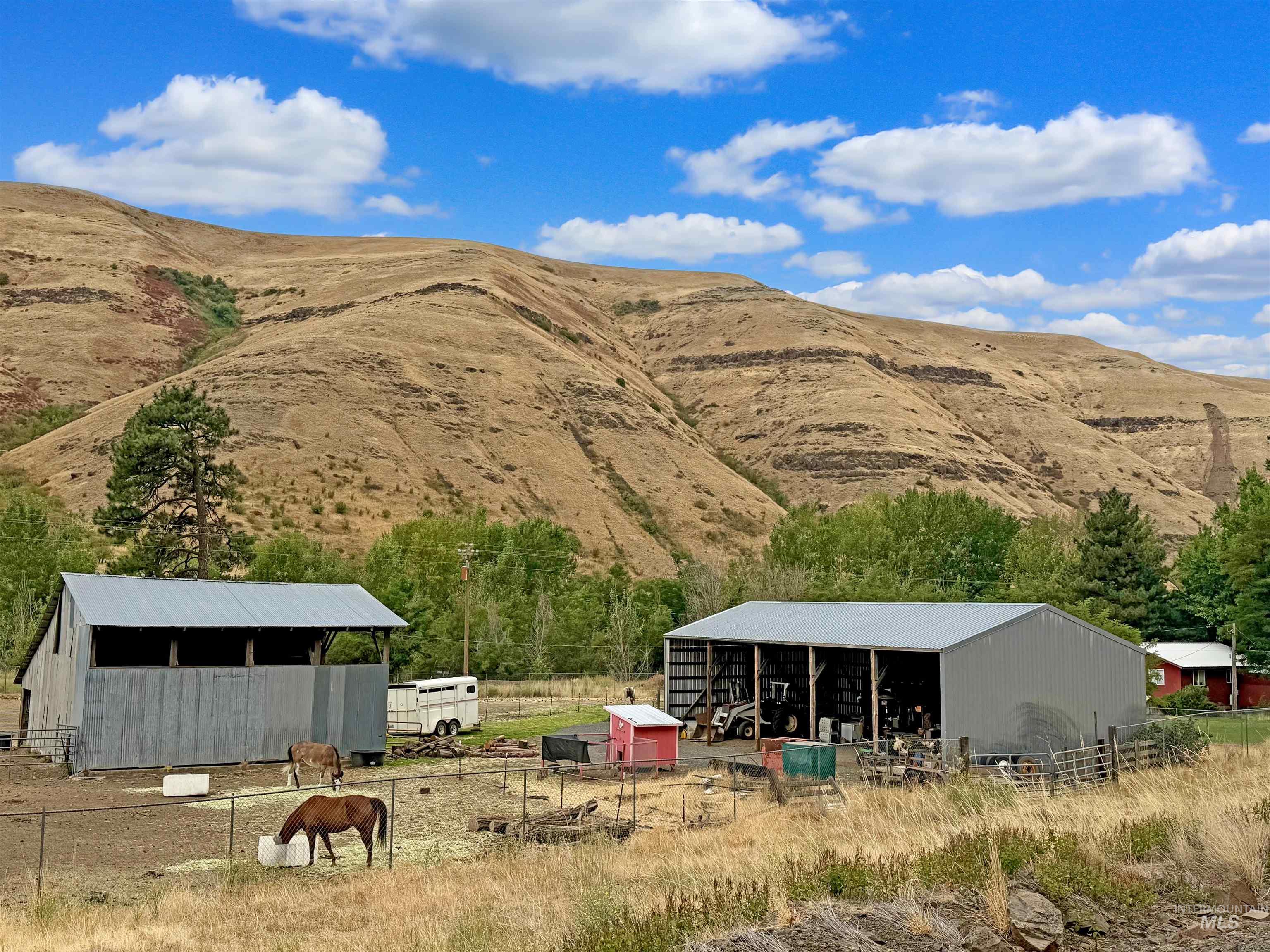 1920 Tucannon Road, Pomeroy, Washington 99347, 3 Bedrooms, 1.5 Bathrooms, Residential For Sale, Price $275,000,MLS 98999053