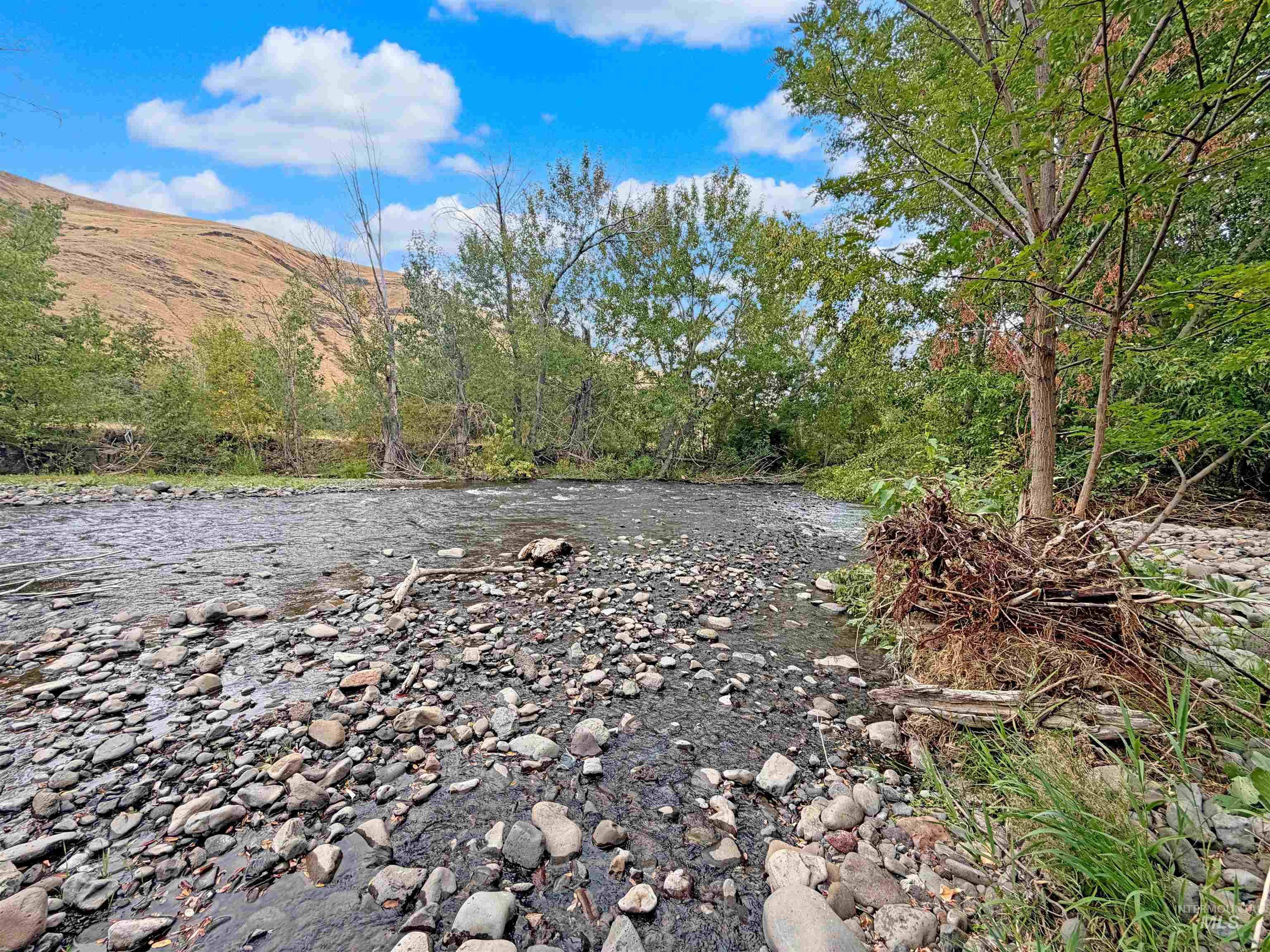 1920 Tucannon Road, Pomeroy, Washington 99347, 3 Bedrooms, 1.5 Bathrooms, Residential For Sale, Price $275,000,MLS 98999053