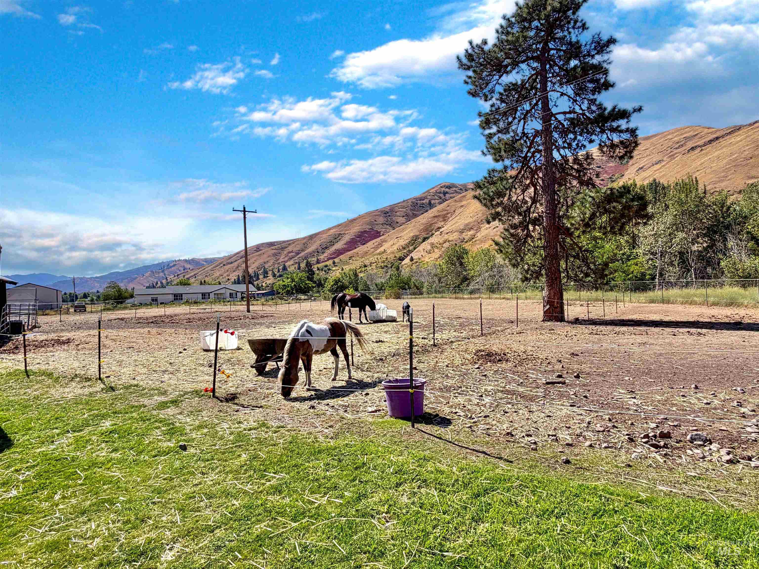 1920 Tucannon Road, Pomeroy, Washington 99347, 3 Bedrooms, 1.5 Bathrooms, Residential For Sale, Price $285,000,MLS 98999053