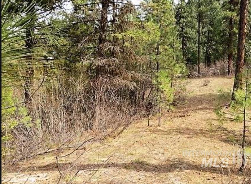 TBD Apple Wood Dr, Garden Valley, Idaho 83622, Land For Sale, Price $425,000, 98999058