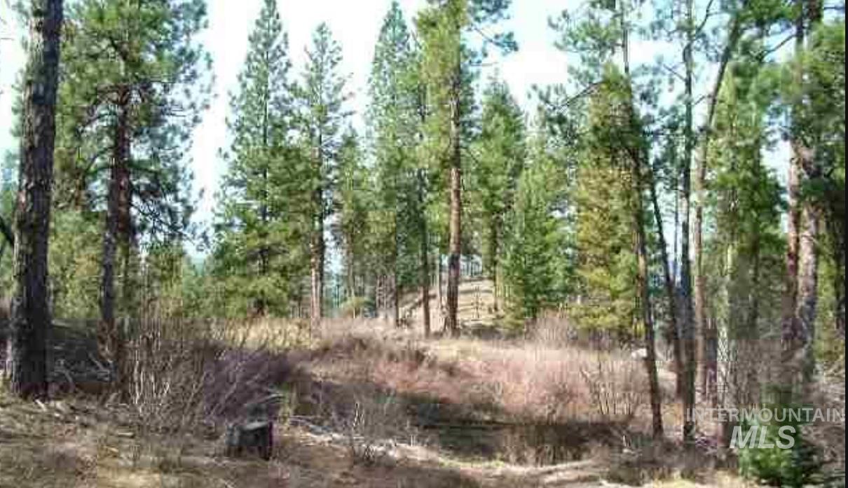 TBD Apple Wood Dr, Garden Valley, Idaho 83622, Land For Sale, Price $425,000, 98999058
