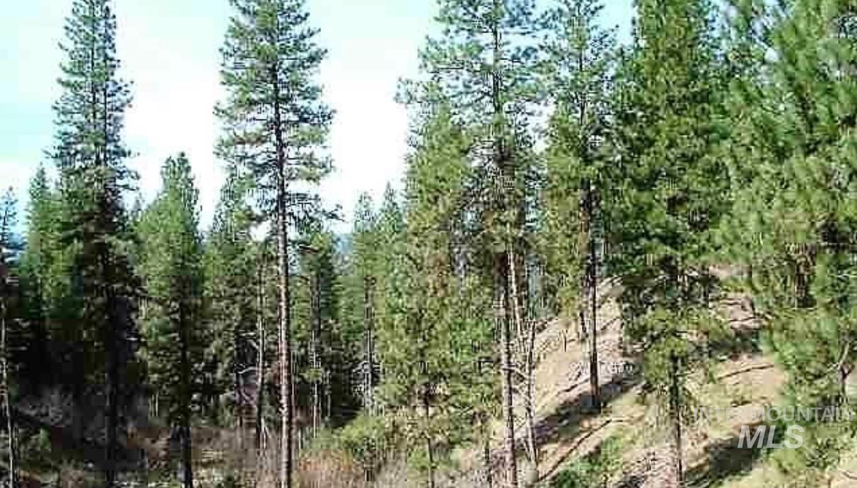 TBD Apple Wood Dr, Garden Valley, Idaho 83622, Land For Sale, Price $425,000, 98999058