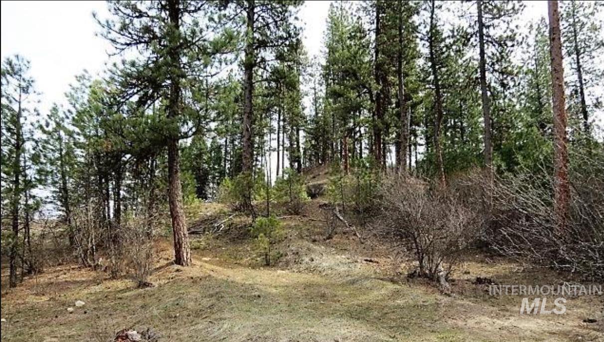 TBD Apple Wood Dr, Garden Valley, Idaho 83622, Land For Sale, Price $425,000, 98999058