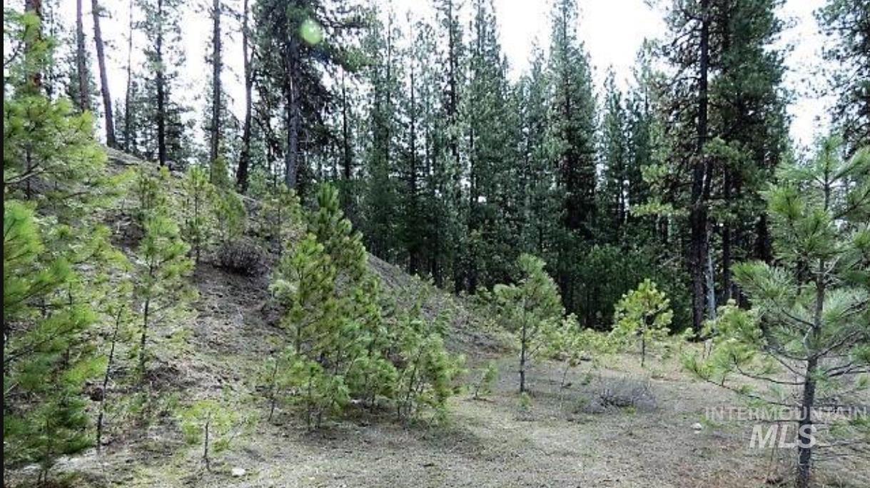 TBD Apple Wood Dr, Garden Valley, Idaho 83622, Land For Sale, Price $425,000, 98999058
