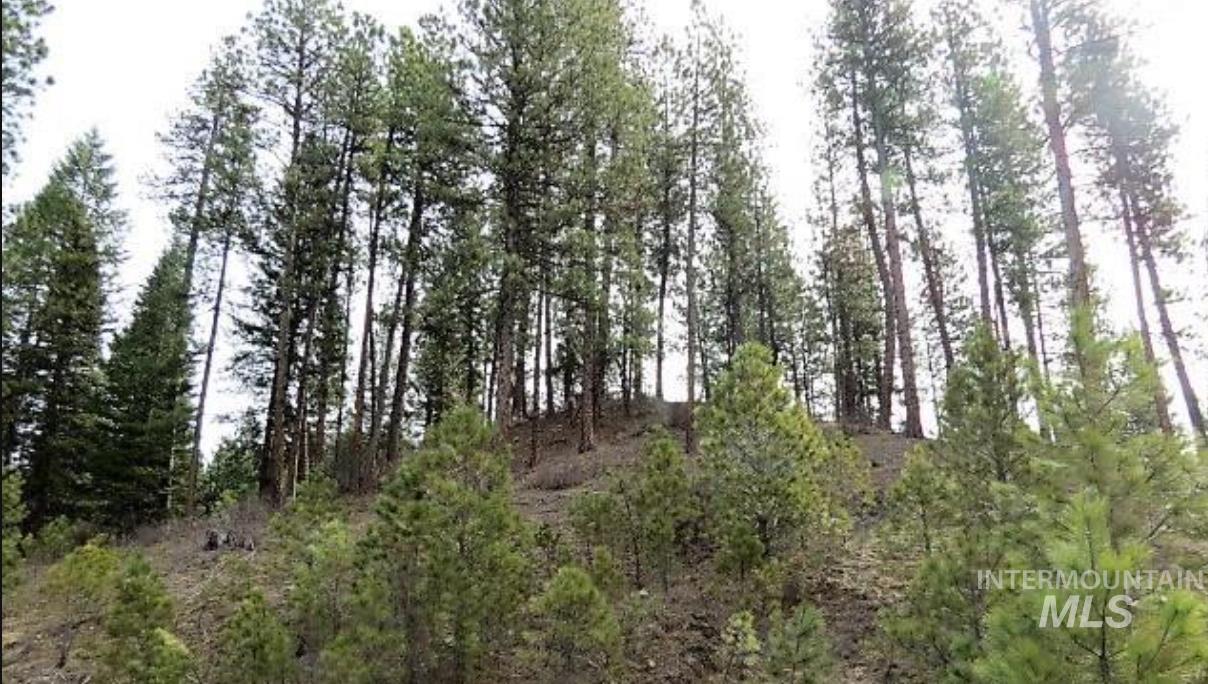 TBD Apple Wood Dr, Garden Valley, Idaho 83622, Land For Sale, Price $425,000, 98999058