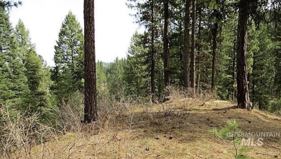 TBD Apple Wood Dr, Garden Valley, Idaho 83622, Land For Sale, Price $425,000, 98999058