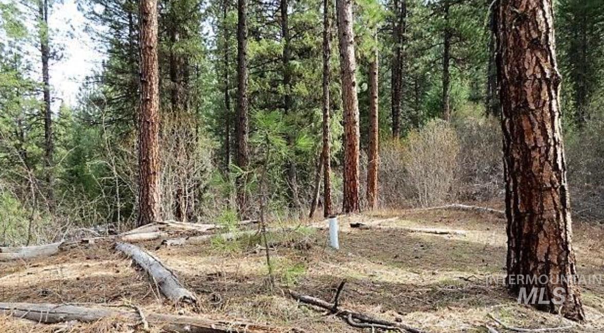 TBD Apple Wood Dr, Garden Valley, Idaho 83622, Land For Sale, Price $425,000, 98999058