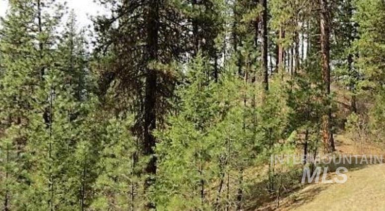 TBD Apple Wood Dr, Garden Valley, Idaho 83622, Land For Sale, Price $425,000, 98999058