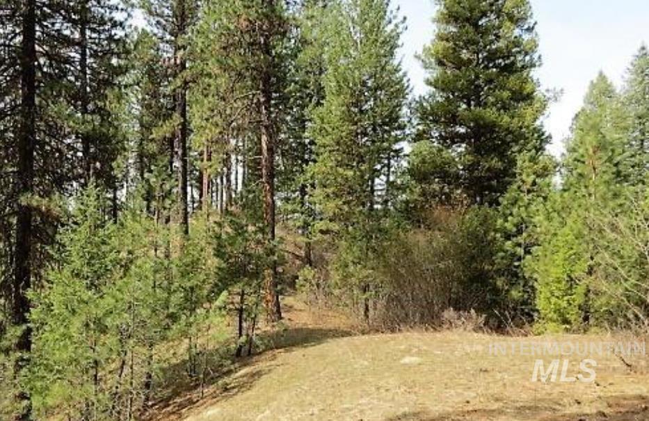 TBD Apple Wood Dr, Garden Valley, Idaho 83622, Land For Sale, Price $425,000, 98999058
