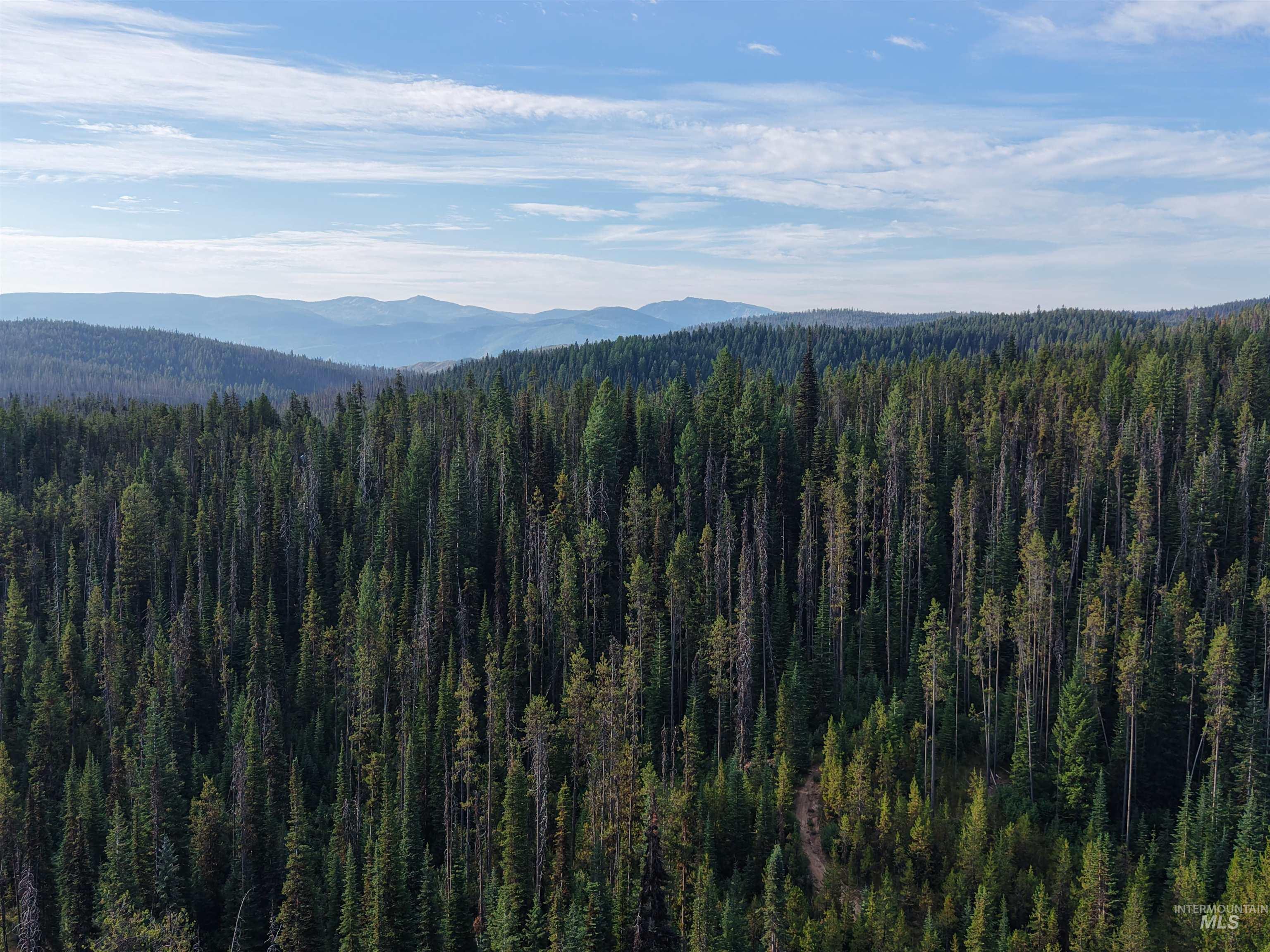 TBD Copperhead Rd, Dixie, Idaho 83525, Land For Sale, Price $126,500, 98999063