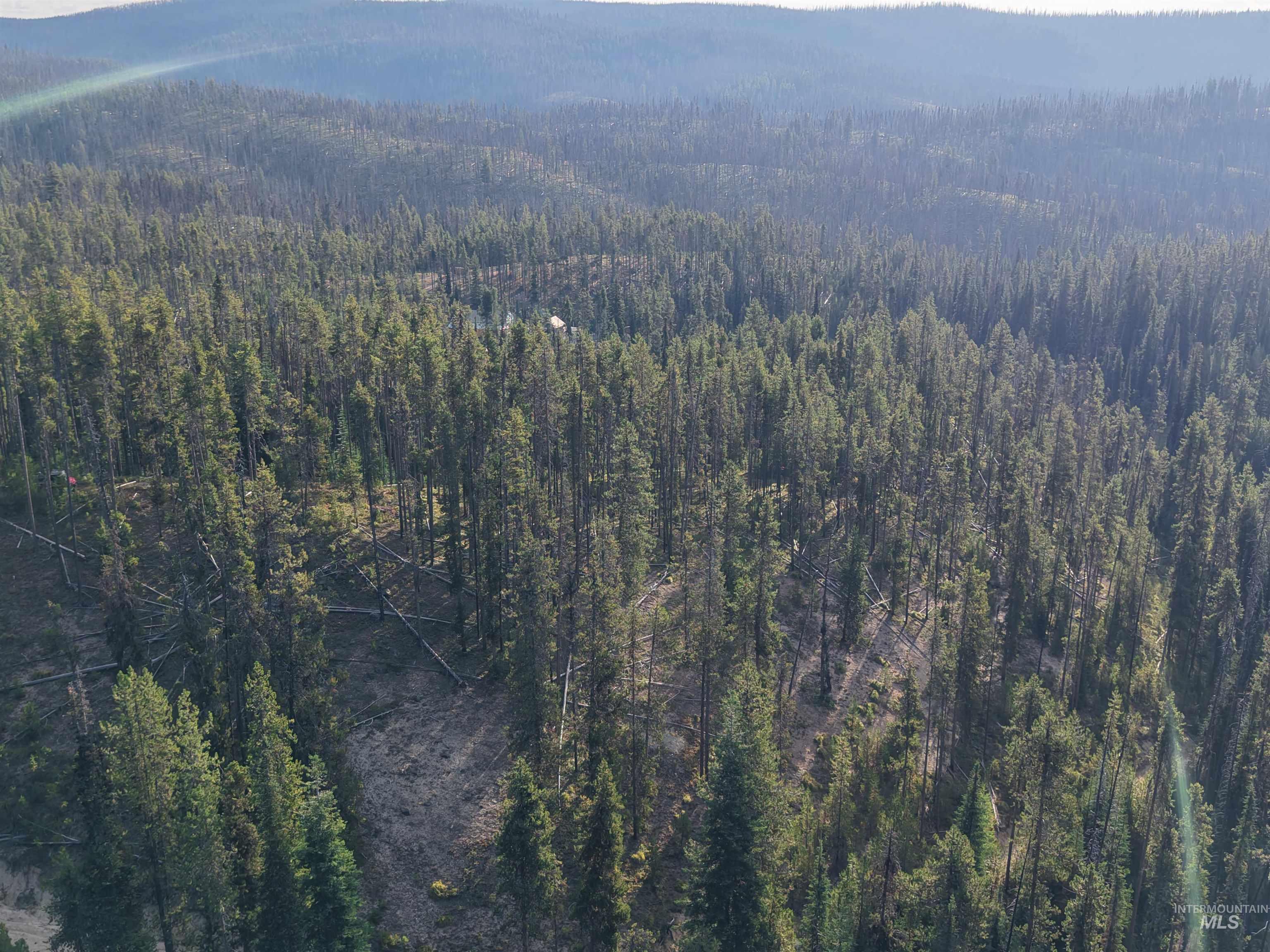 TBD Copperhead Rd, Dixie, Idaho 83525, Land For Sale, Price $126,500, 98999063