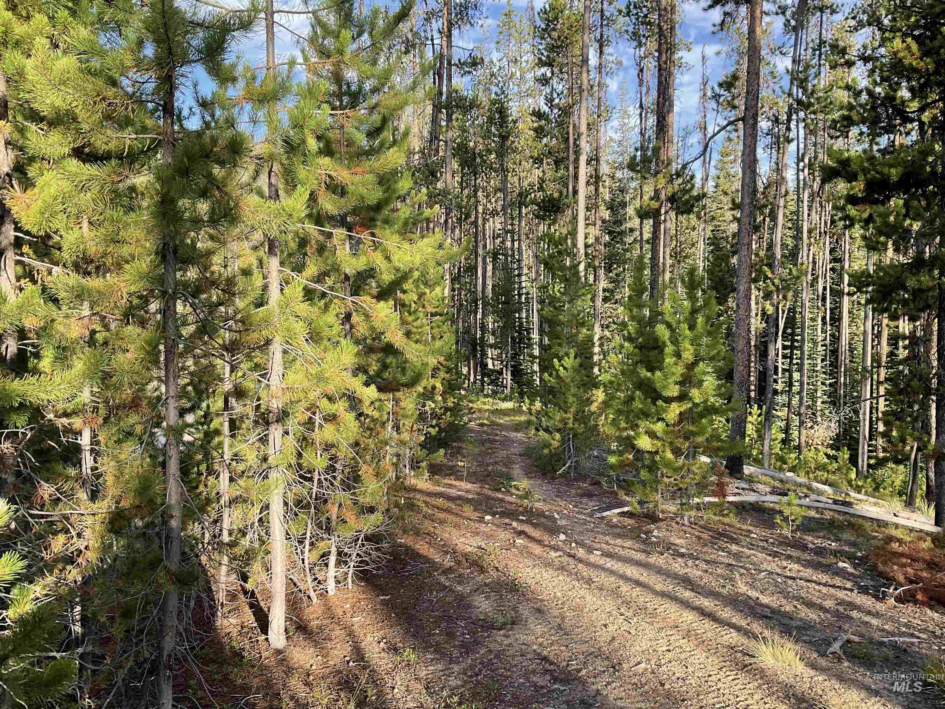 TBD Copperhead Rd, Dixie, Idaho 83525, Land For Sale, Price $126,500, 98999063