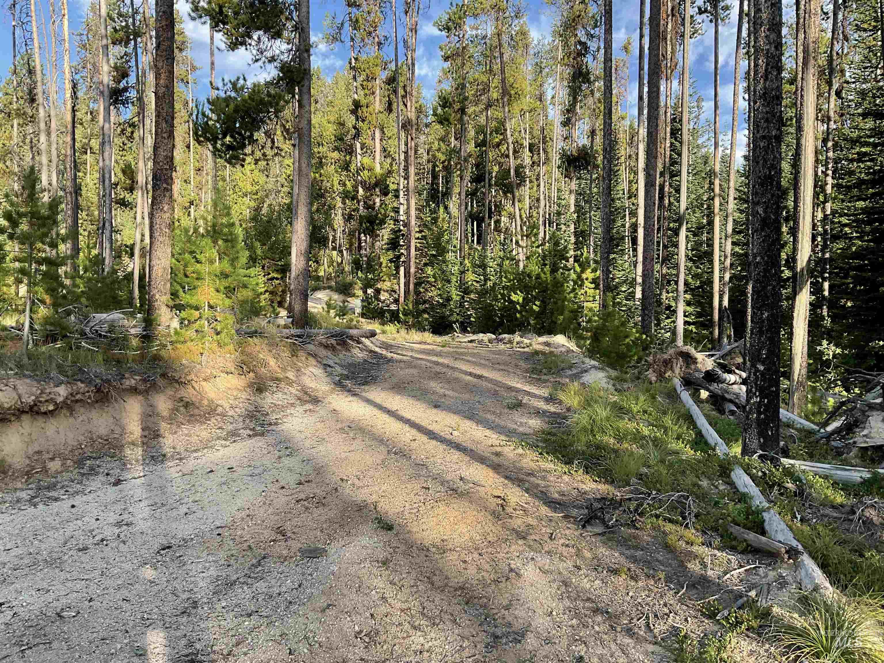 TBD Copperhead Rd, Dixie, Idaho 83525, Land For Sale, Price $126,500, 98999063