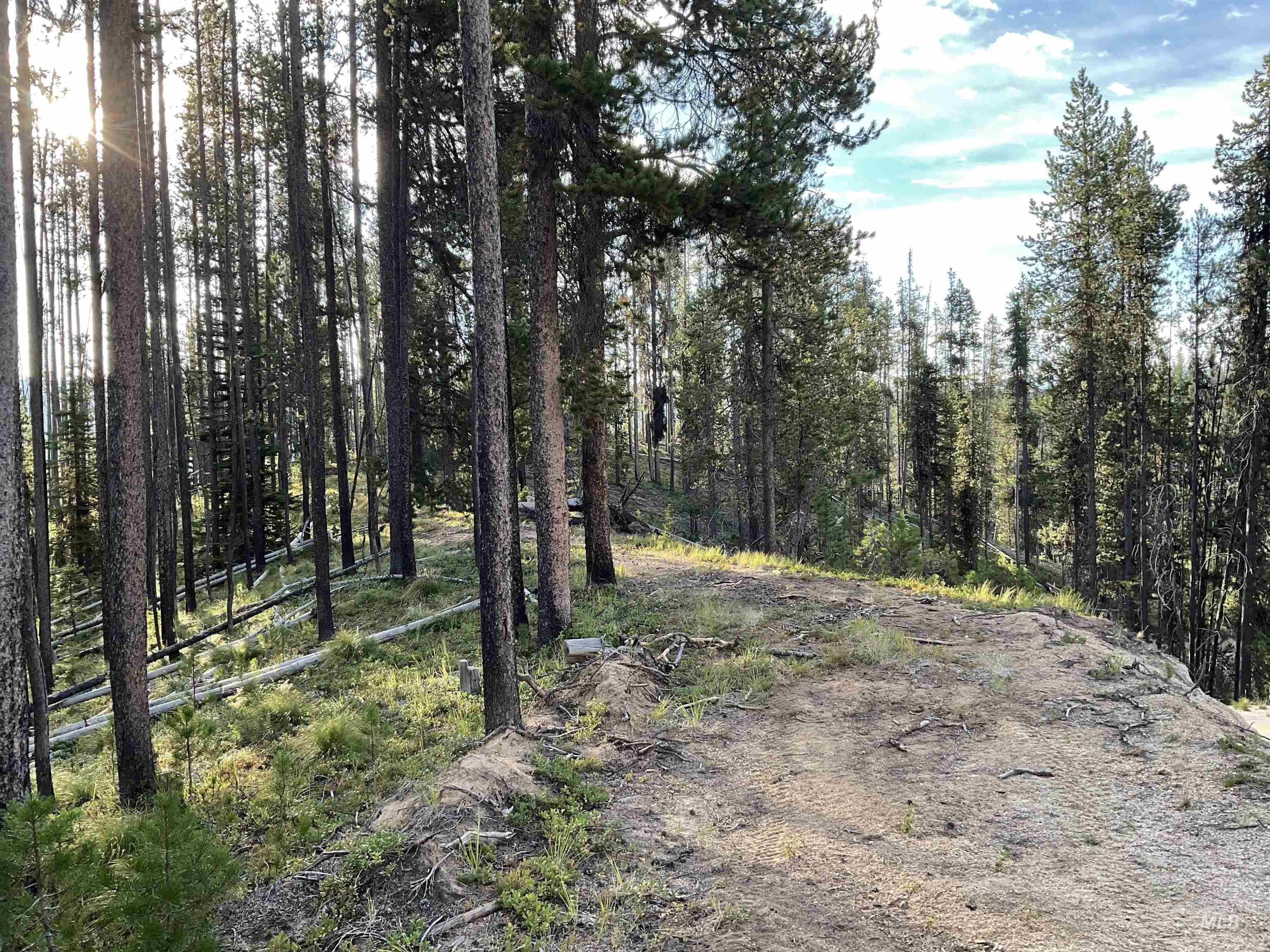 TBD Copperhead Rd, Dixie, Idaho 83525, Land For Sale, Price $126,500, 98999063
