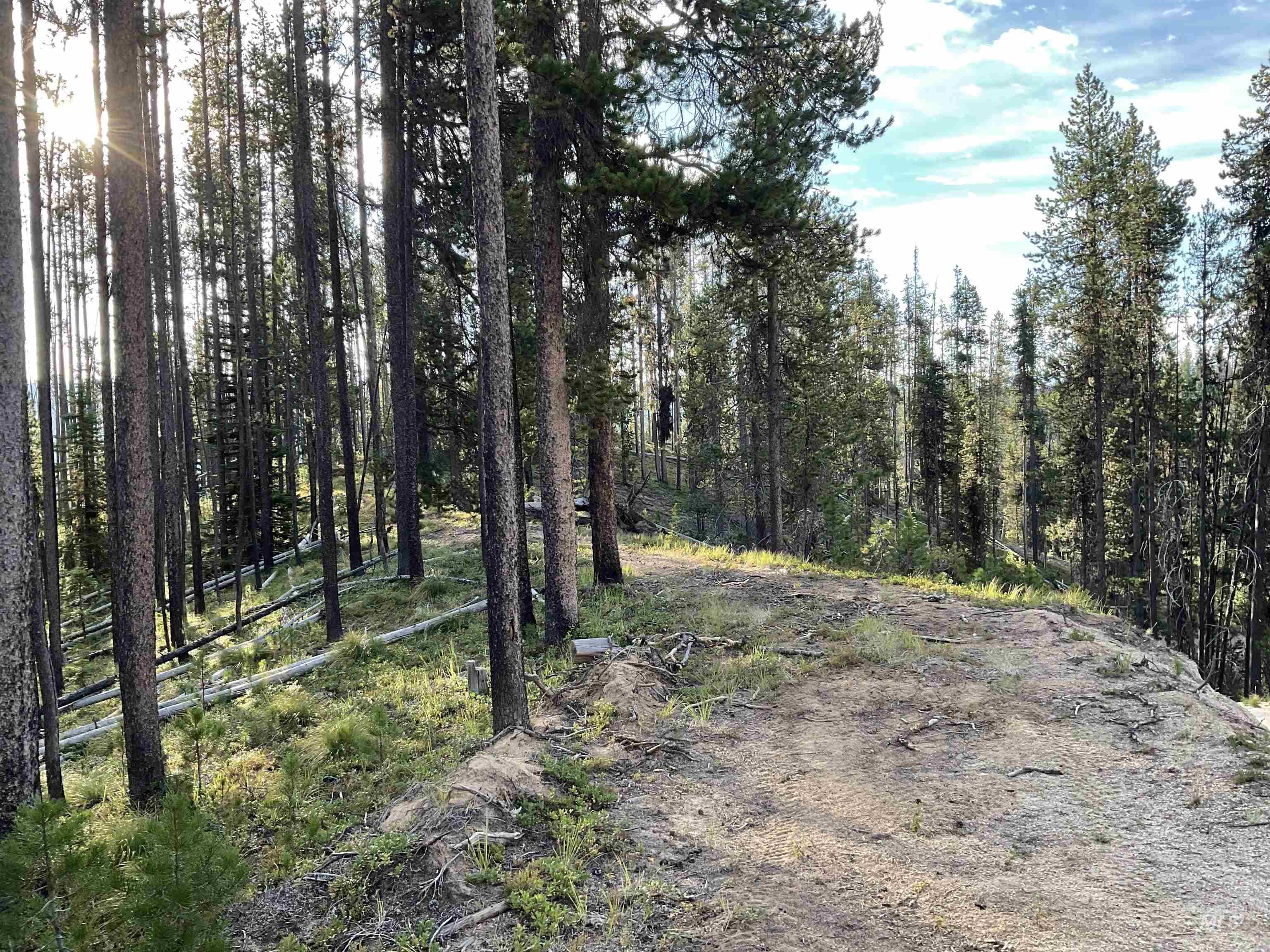 TBD Copperhead Rd, Dixie, Idaho 83525, Land For Sale, Price $126,500, 98999063