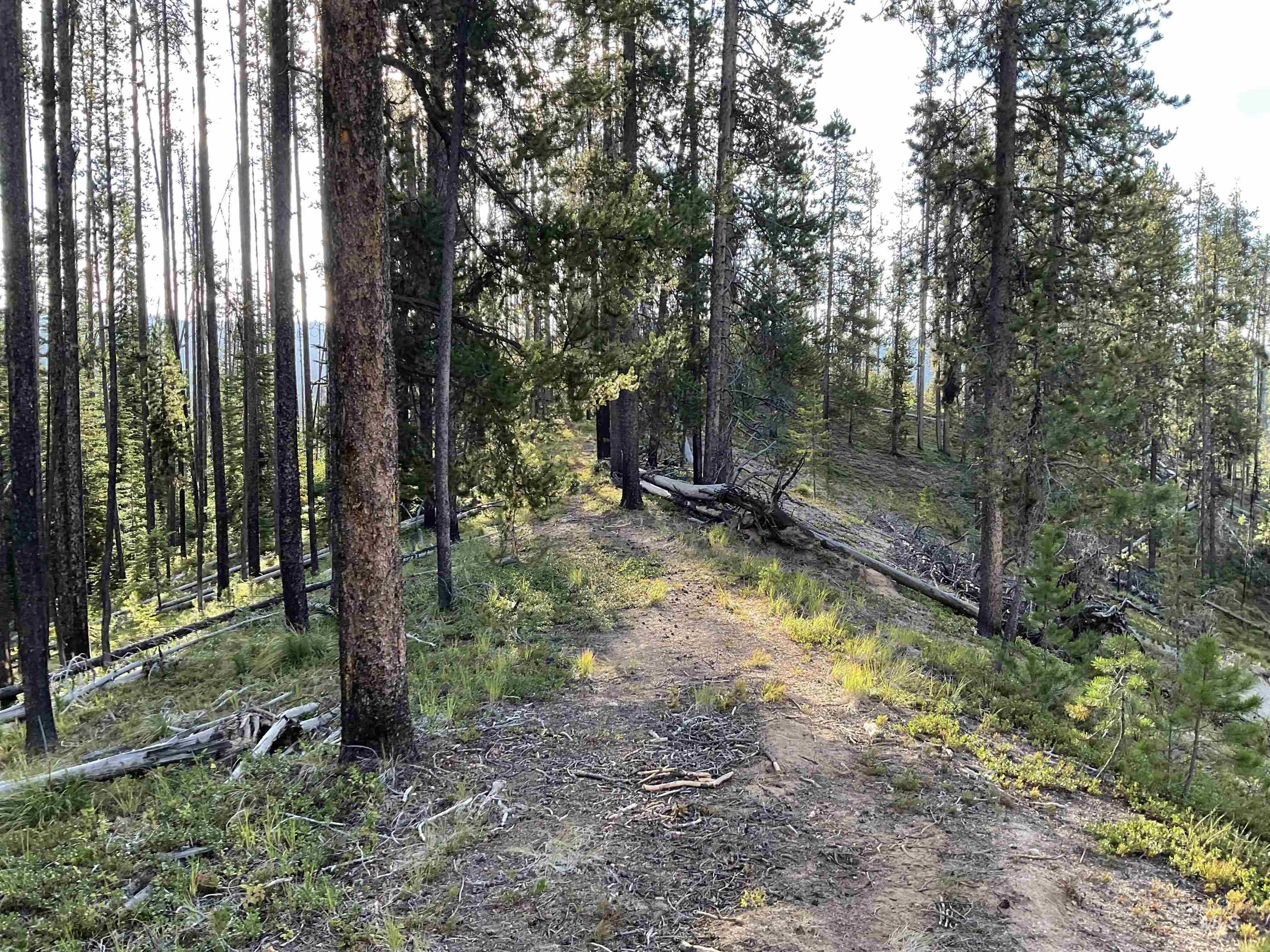TBD Copperhead Rd, Dixie, Idaho 83525, Land For Sale, Price $126,500, 98999063
