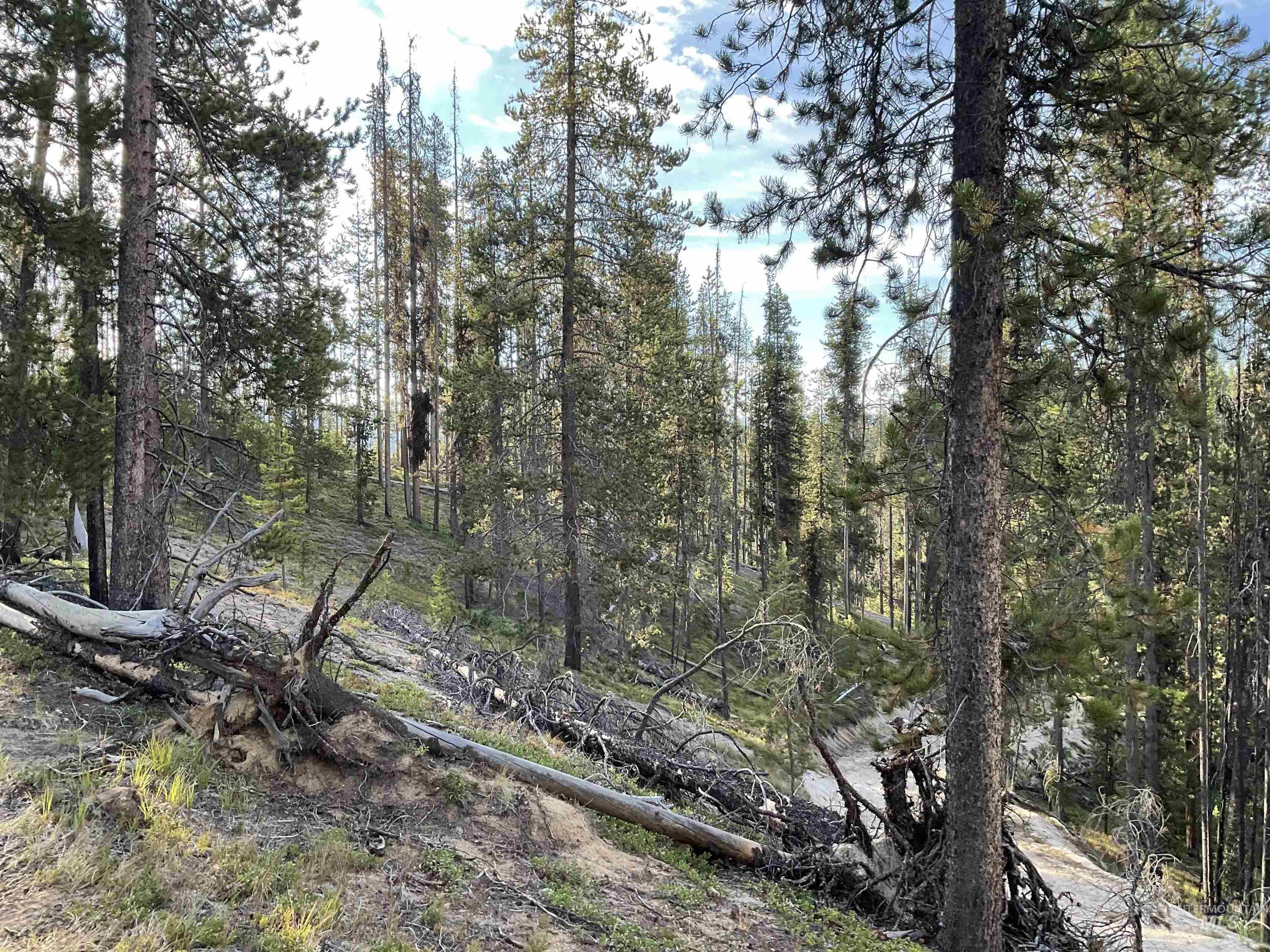 TBD Copperhead Rd, Dixie, Idaho 83525, Land For Sale, Price $126,500, 98999063