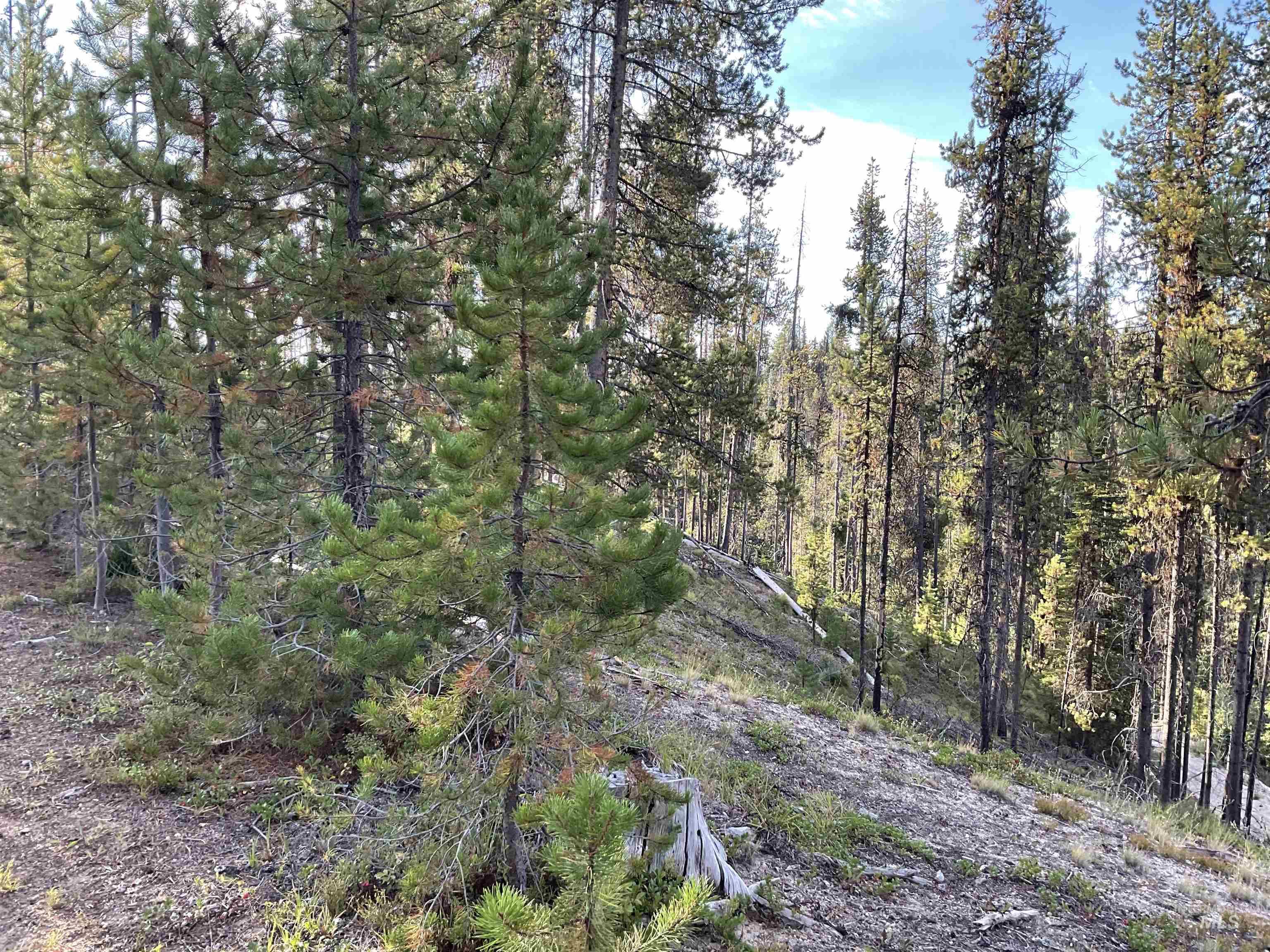 TBD Copperhead Rd, Dixie, Idaho 83525, Land For Sale, Price $126,500, 98999063