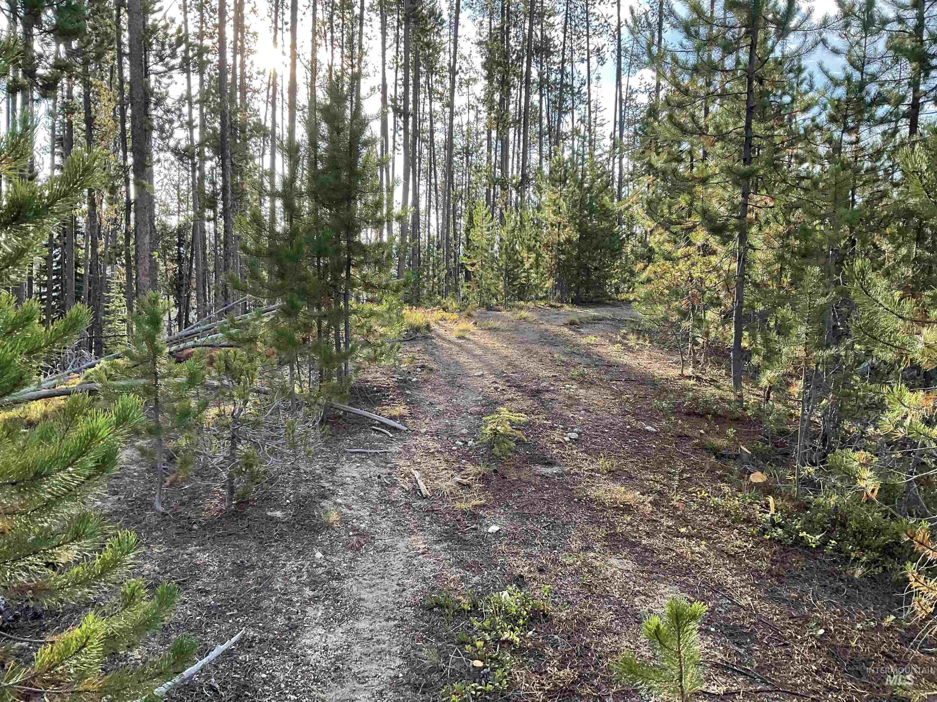 TBD Copperhead Rd, Dixie, Idaho 83525, Land For Sale, Price $126,500, 98999063
