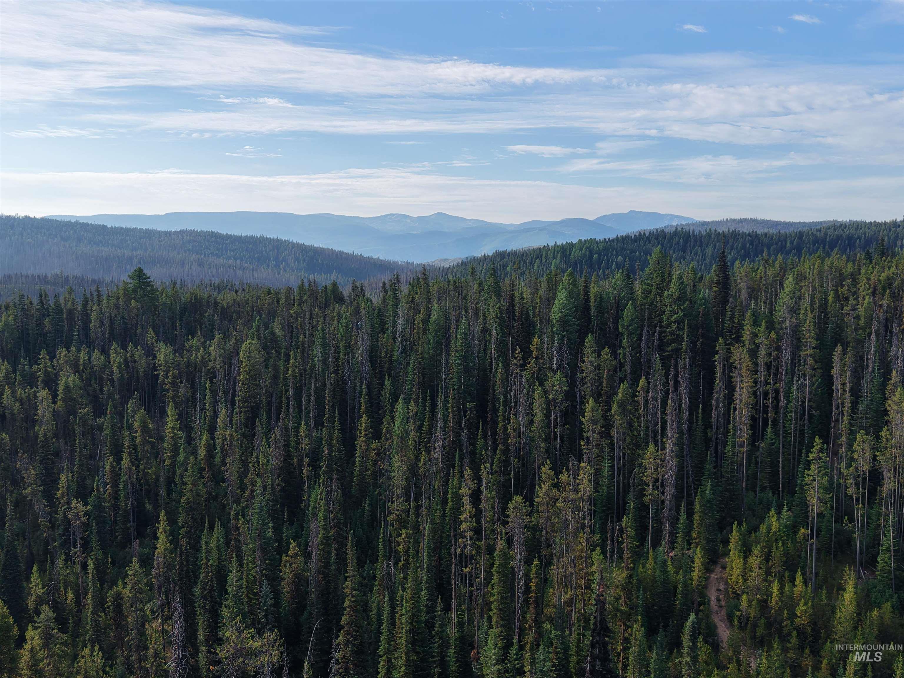 TBD Copperhead Rd, Dixie, Idaho 83525, Land For Sale, Price $126,500, 98999063