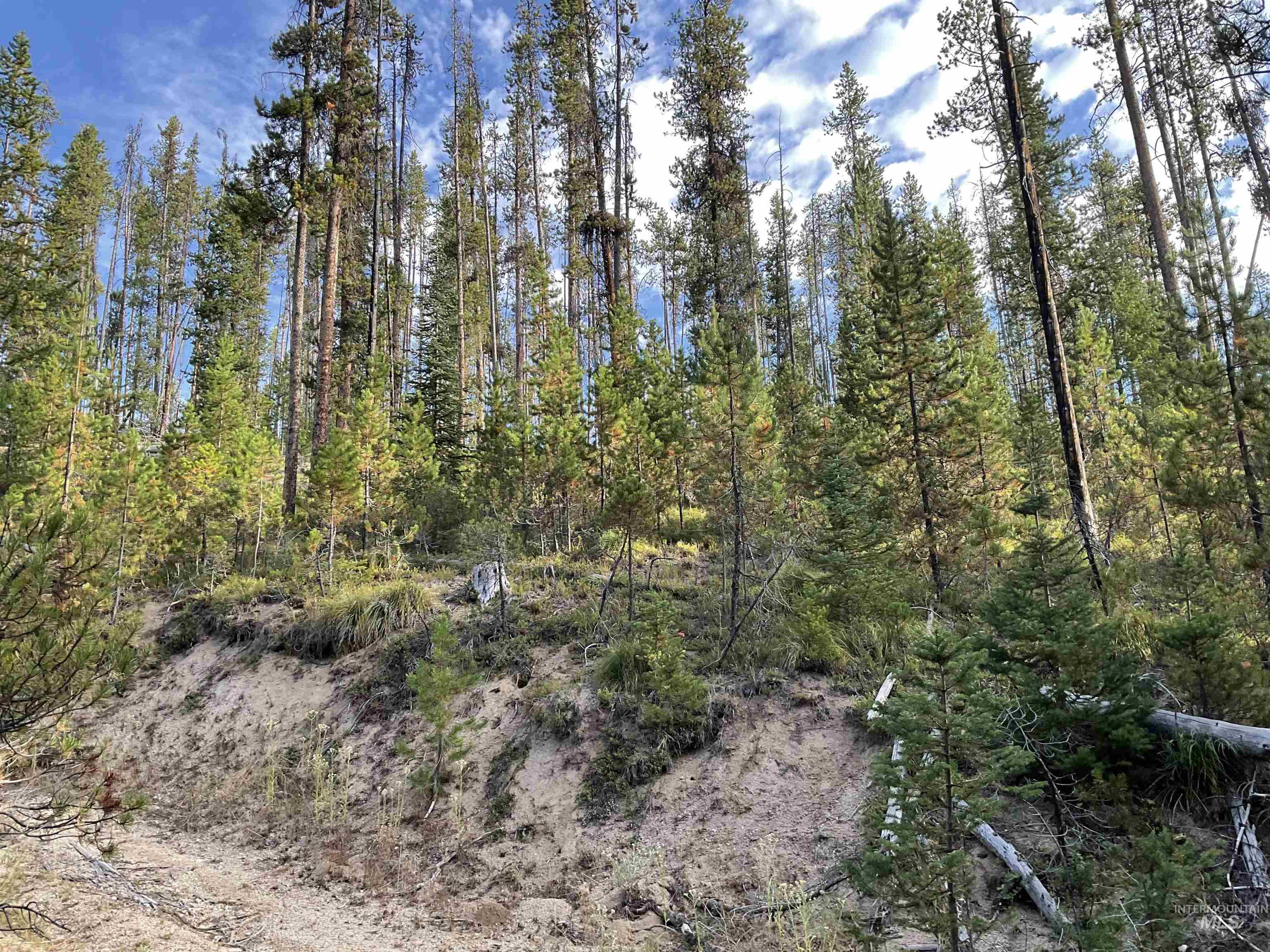 TBD Copperhead Rd, Dixie, Idaho 83525, Land For Sale, Price $126,500, 98999063