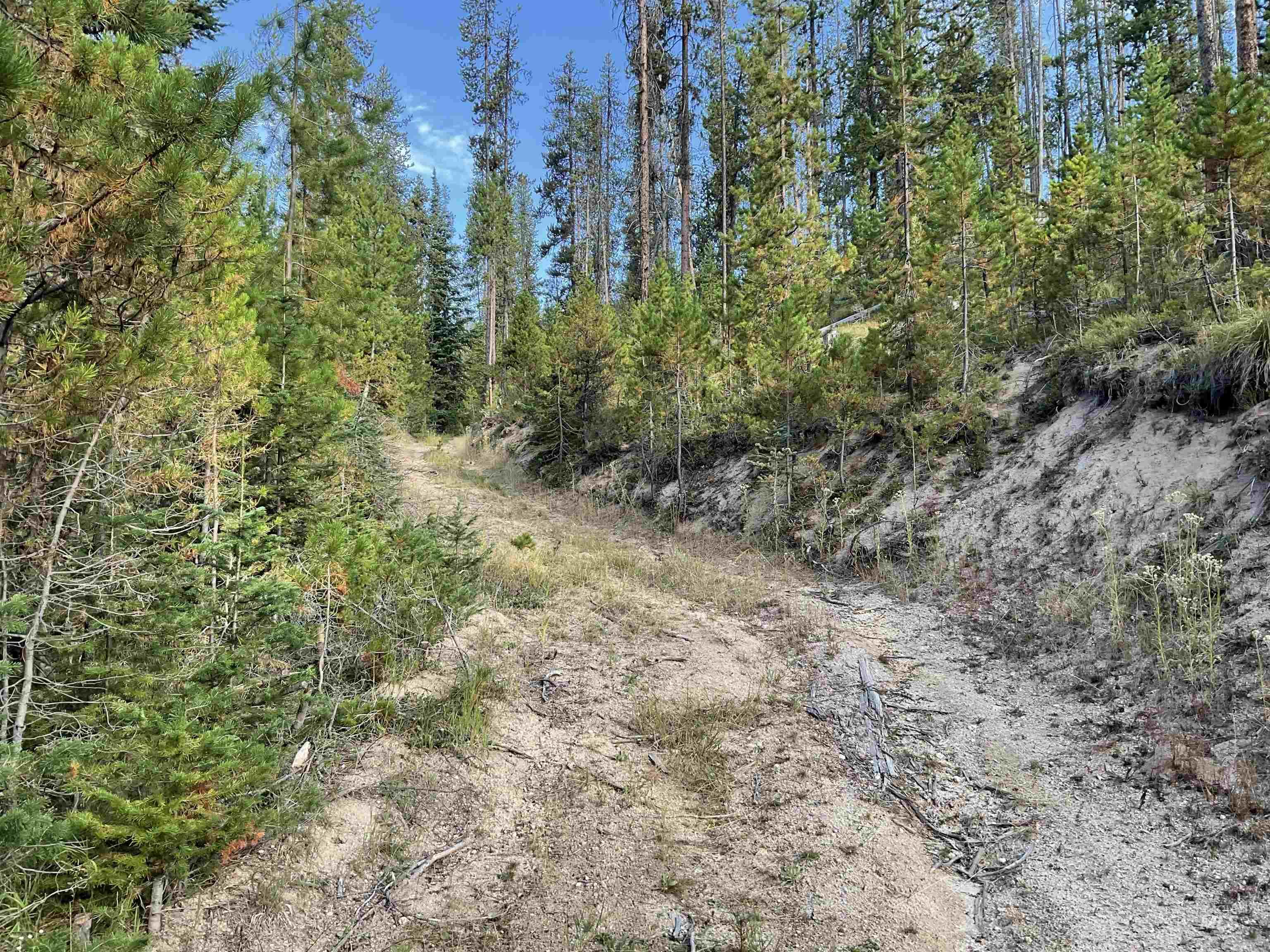 TBD Copperhead Rd, Dixie, Idaho 83525, Land For Sale, Price $126,500, 98999063