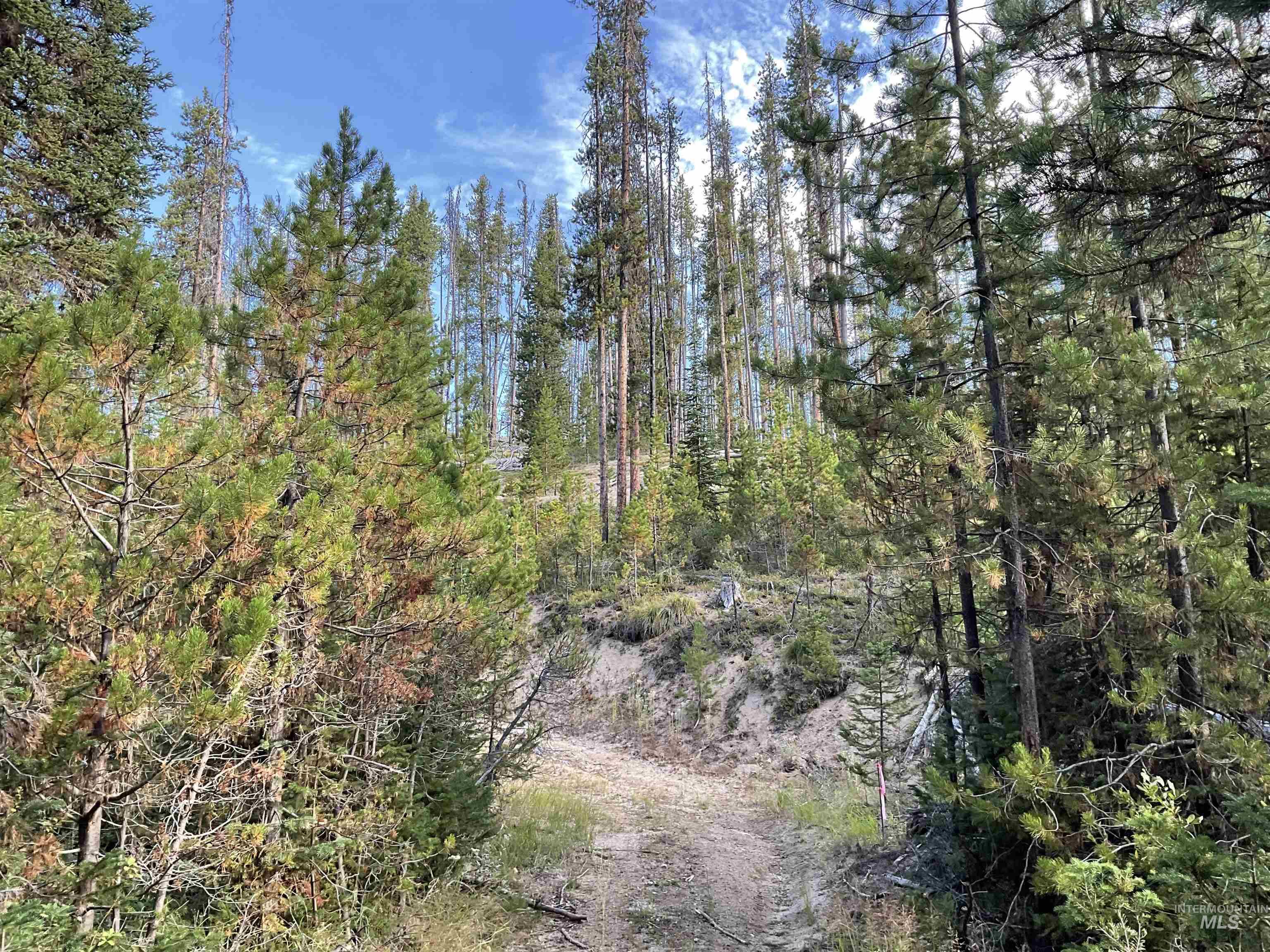 TBD Copperhead Rd, Dixie, Idaho 83525, Land For Sale, Price $126,500, 98999063