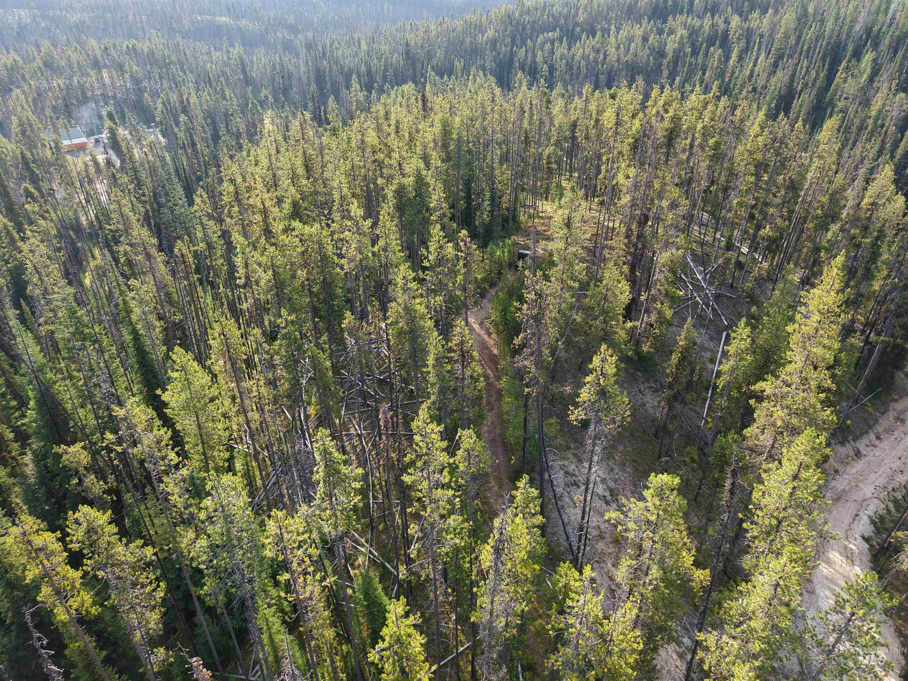 TBD Copperhead Rd, Dixie, Idaho 83525, Land For Sale, Price $126,500, 98999063