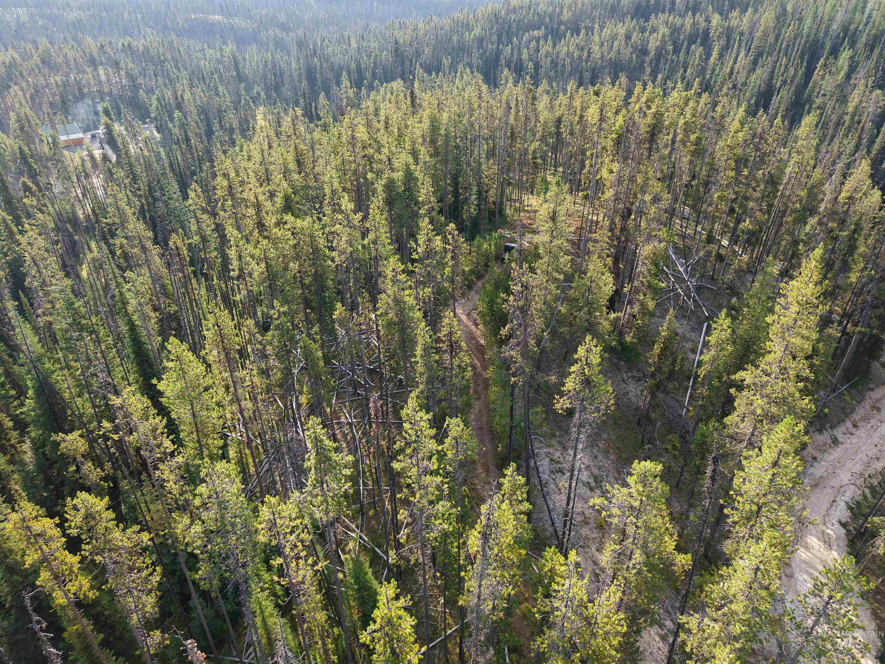 TBD Copperhead Rd, Dixie, Idaho 83525, Land For Sale, Price $126,500, 98999063