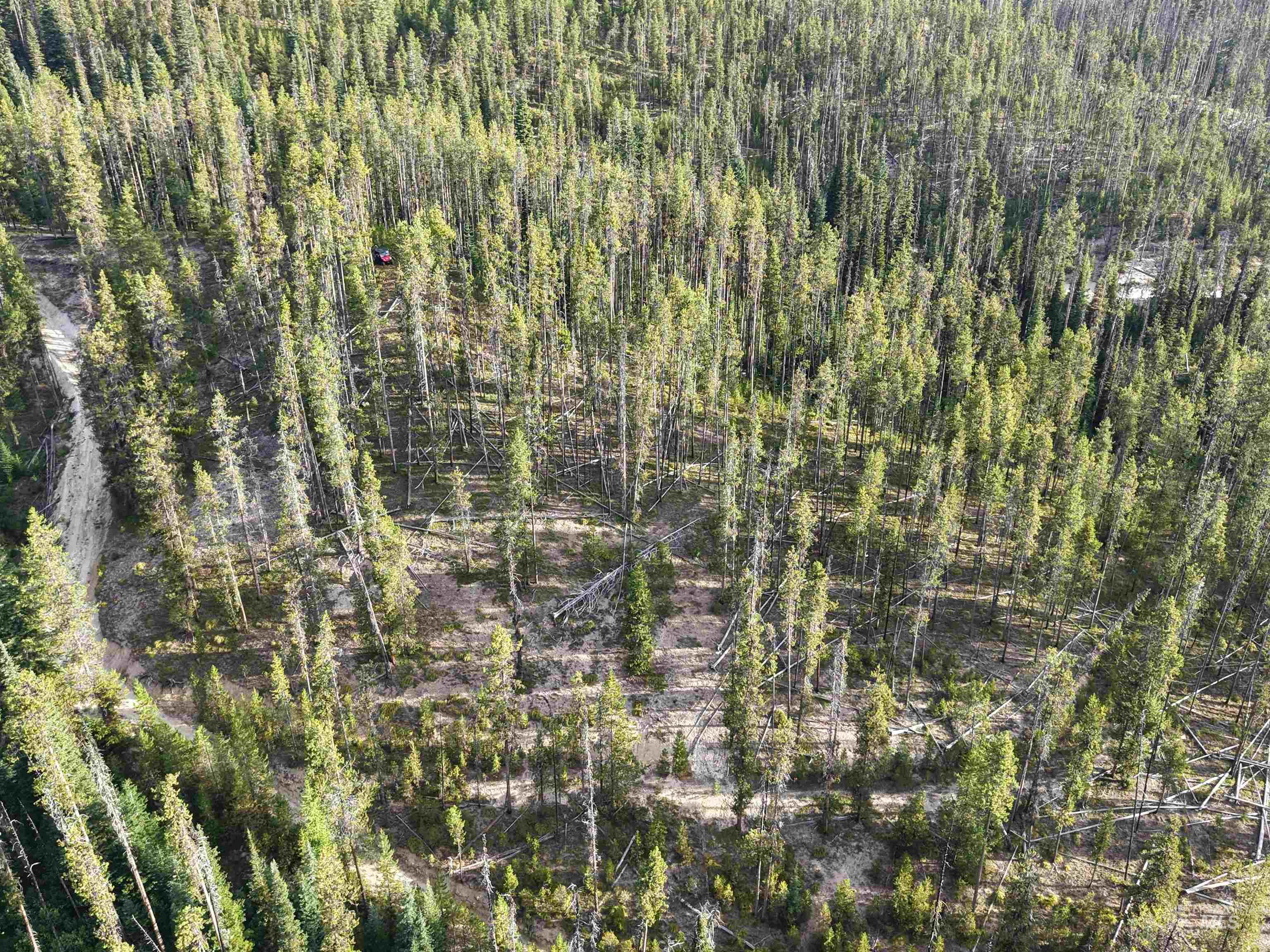 TBD Copperhead Rd, Dixie, Idaho 83525, Land For Sale, Price $126,500, 98999063